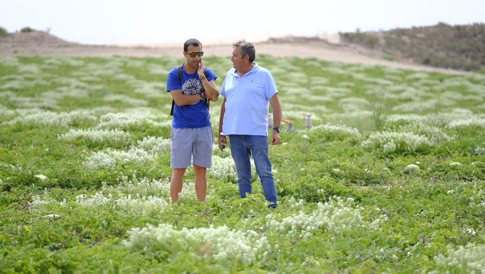 La sandía y el melón de Huércal Overa, manjares en imágenes