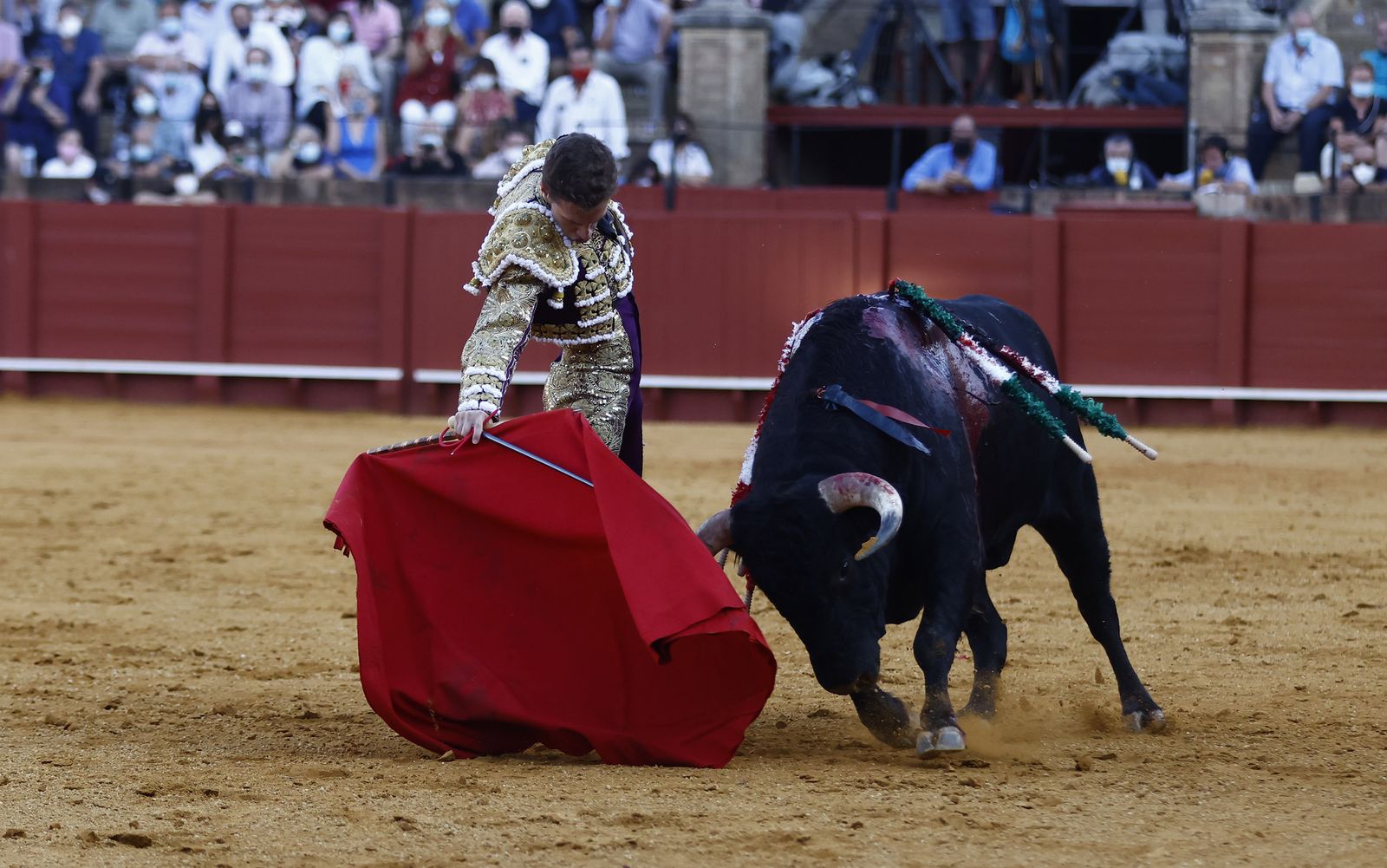 Fotos de la segunda novillada de la feria de San Miguel de Sevilla