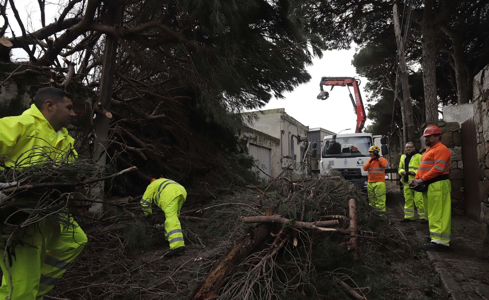 24 horas sin electricidad en la urbanización Los Pinos por árboles caídos tras la borrasca Kristin, en imágenes