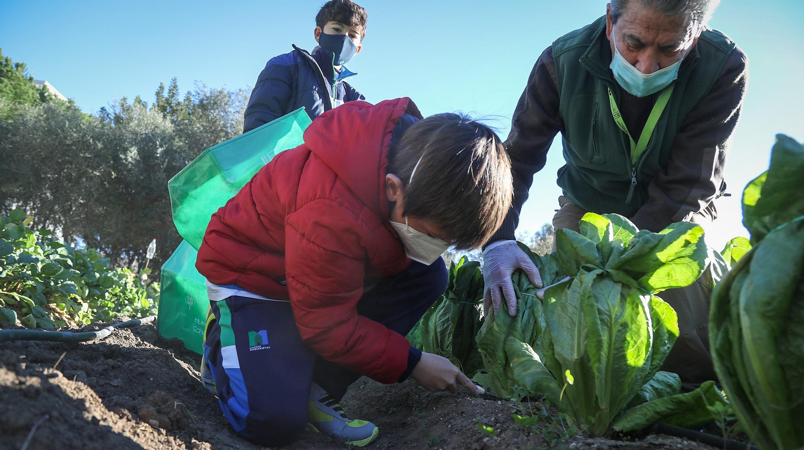 Huerto ecológico y educativo en Los Marianistas