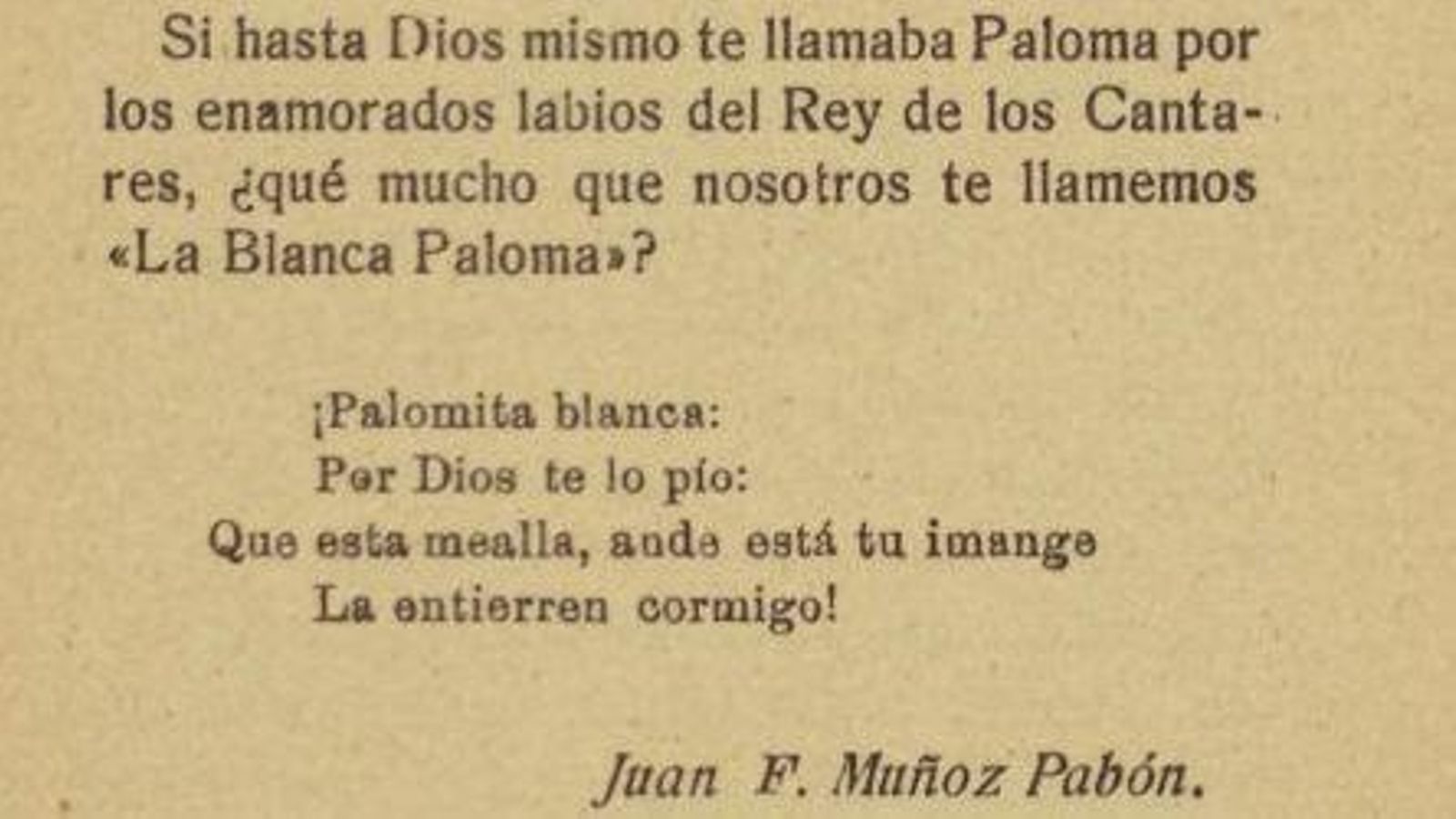 Libro 'La Blanca Paloma'.