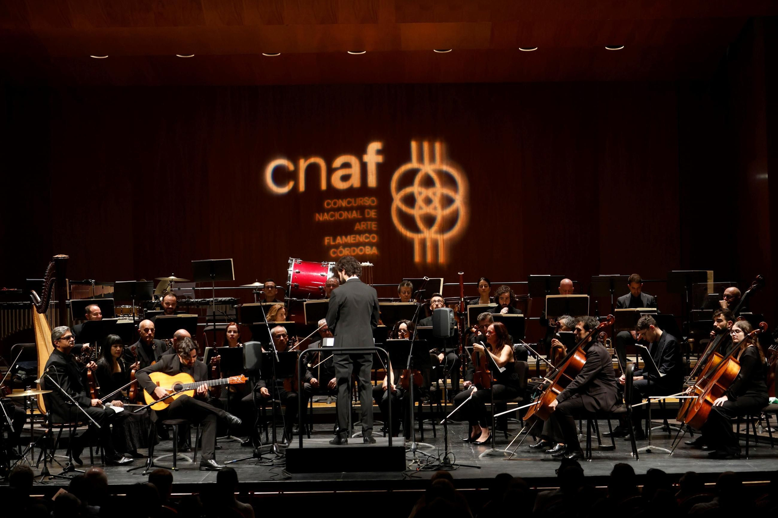 El concierto de Daniel Casares junto a la Orquesta de Córdoba, en imágenes