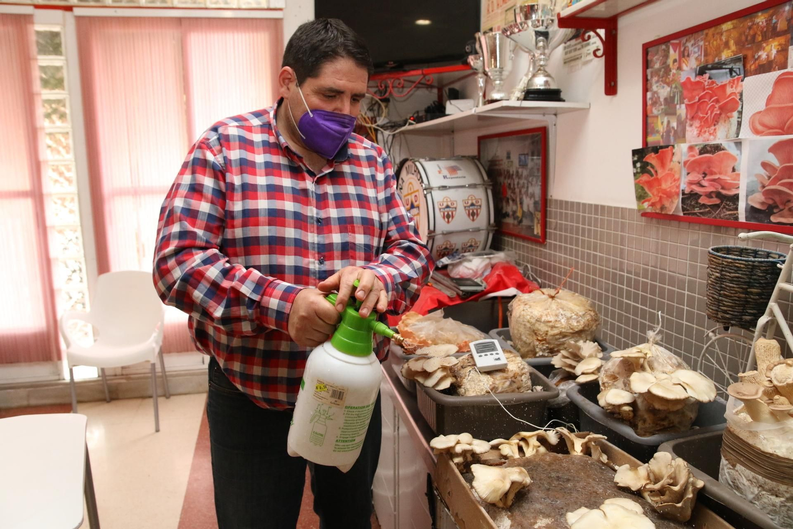 Fotogalería del Reino de las Setas