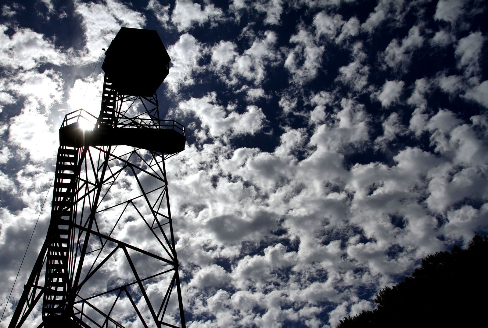 Imágenes de las consecuencias del incendio de Moguer