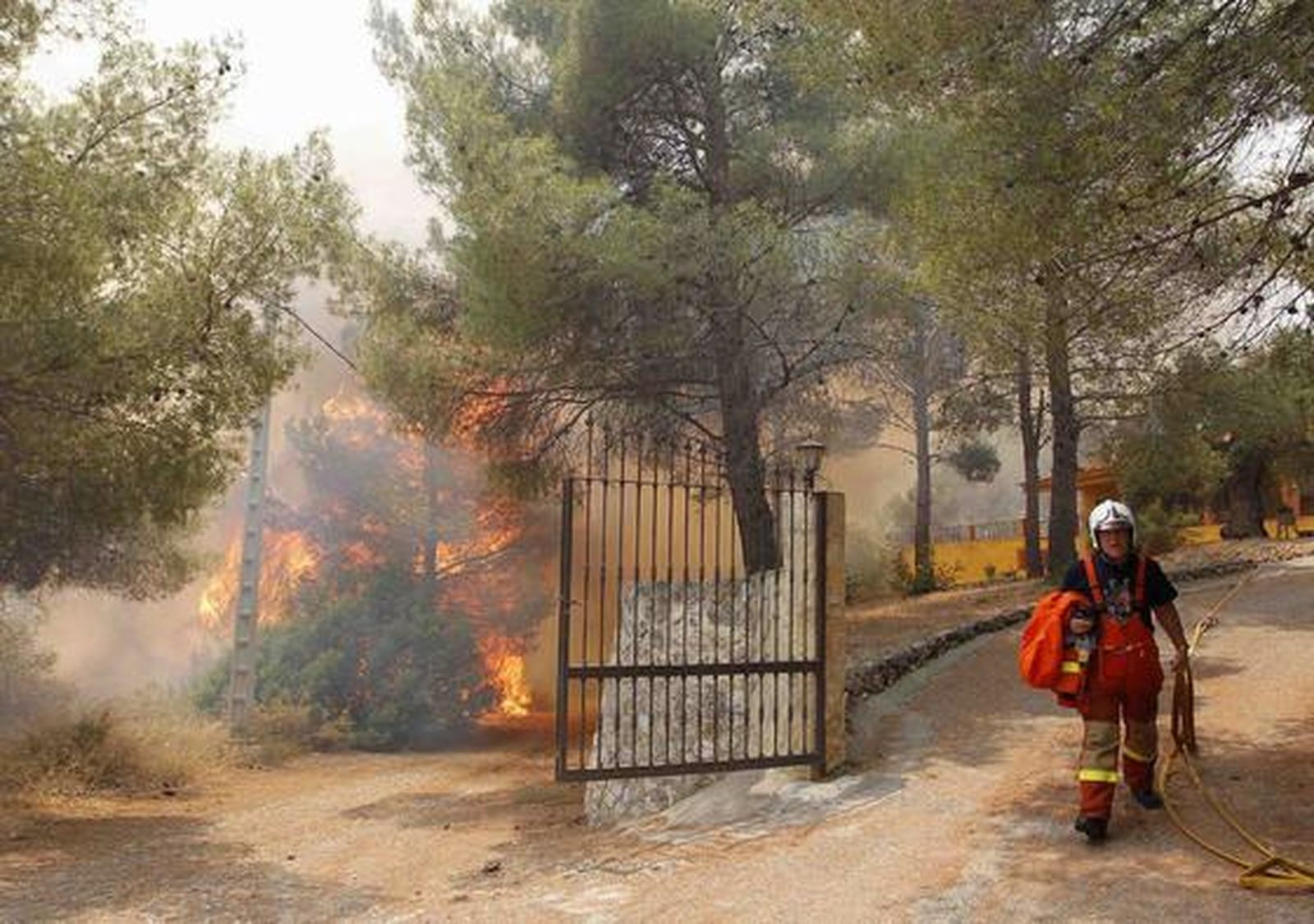 El fuego arrasa miles de hectáreas en comarcas del interior de la provincia de Valencia.

Foto: Reuters