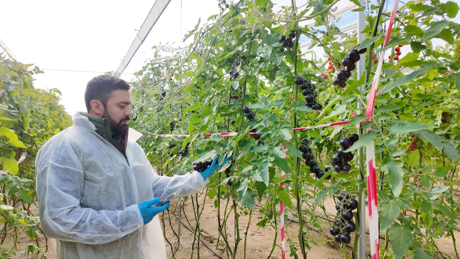 Yuksel inaugura su nuevo centro de investigación y desarrollo en Vícar