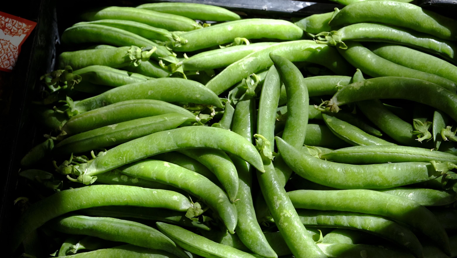 Cuatro fruterías de Almería con sabor a huerto