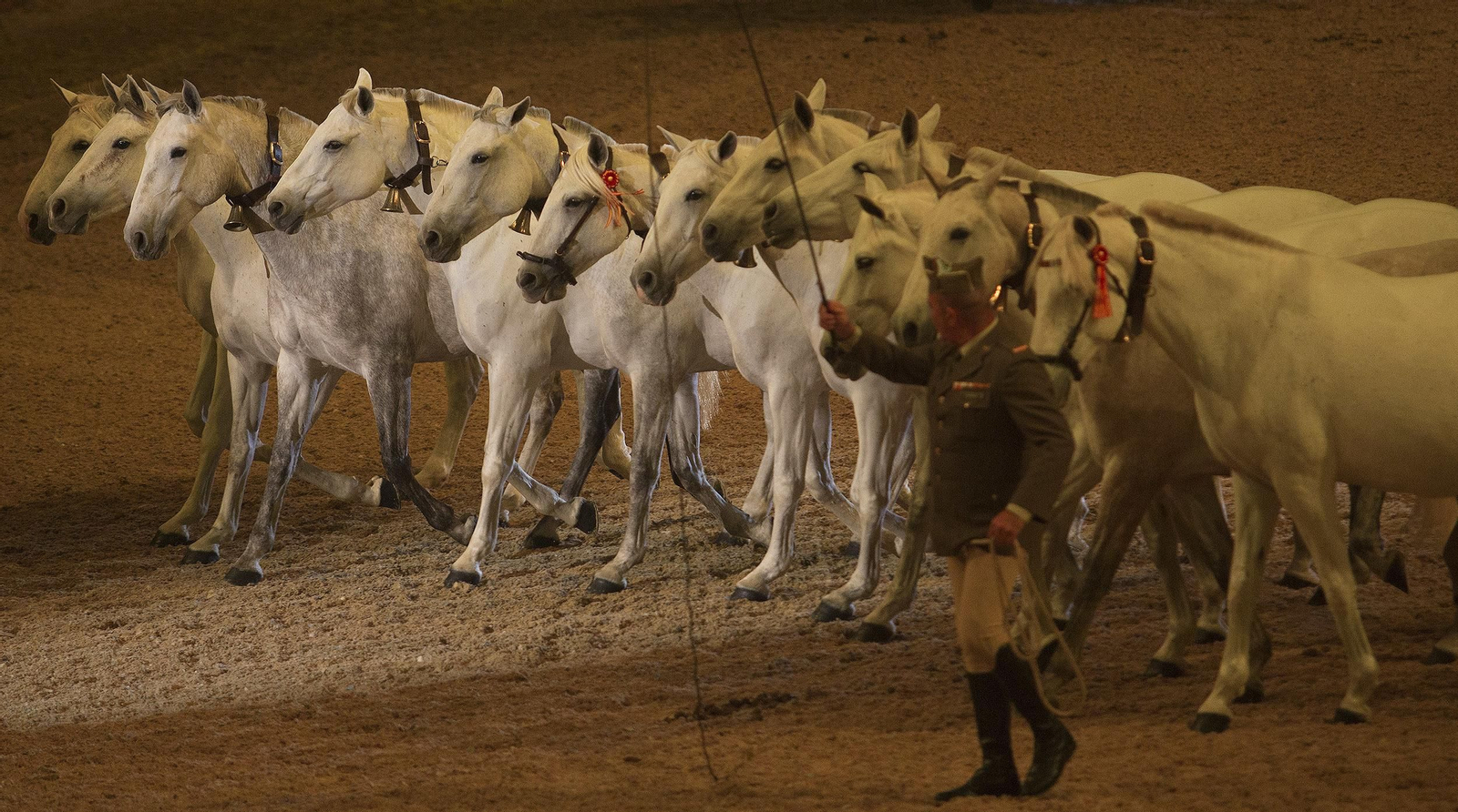 La inauguración de Sicab 2018, en imágenes