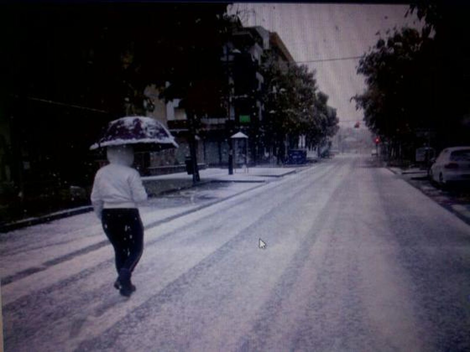 Montilla

Foto: El Día