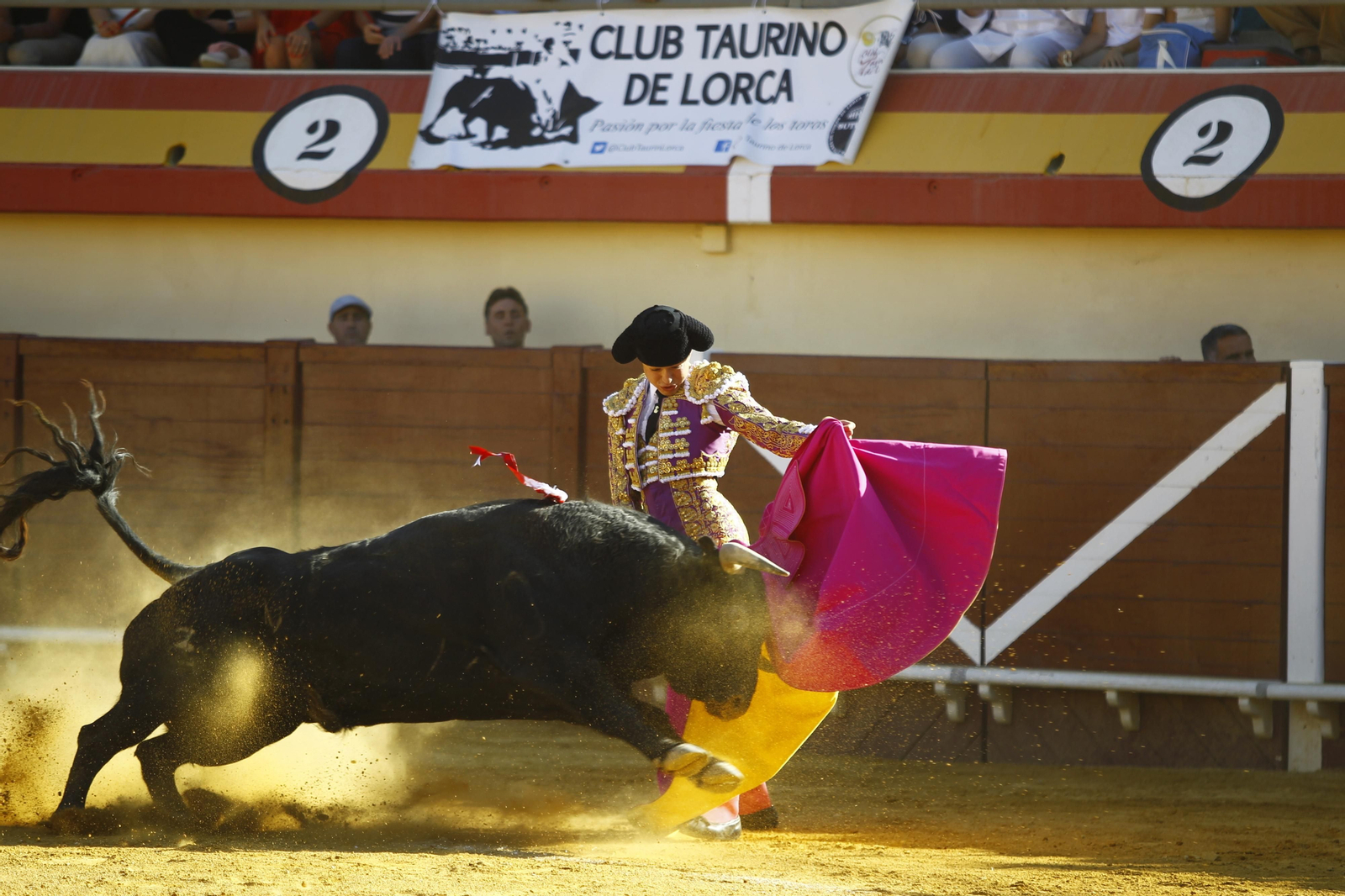 Imágenes de la corrida de Toros en Vera