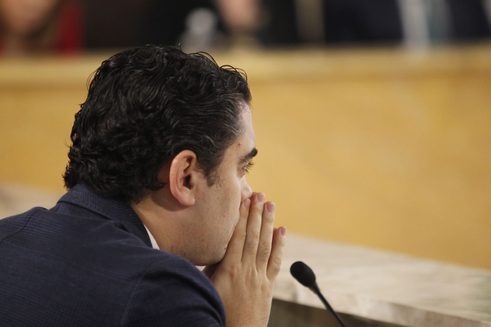 Fotogalería Pleno Extraordinario Ayuntamiento de Almería