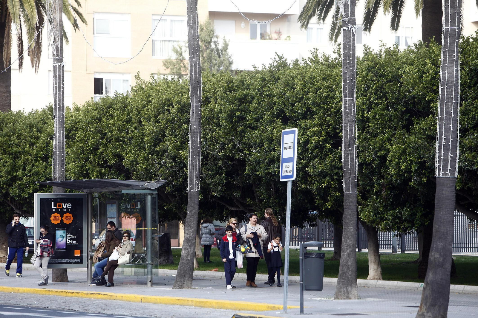 Los árboles de la Avenida principal, preparados ya con las bombillas para iluminar durante la próxima Navidad.