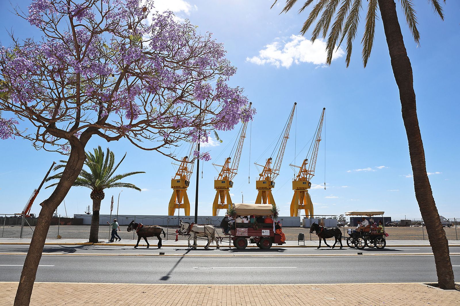 Imágenes de la Hermandad del Rocío de Punta Umbría a su paso por Huelva