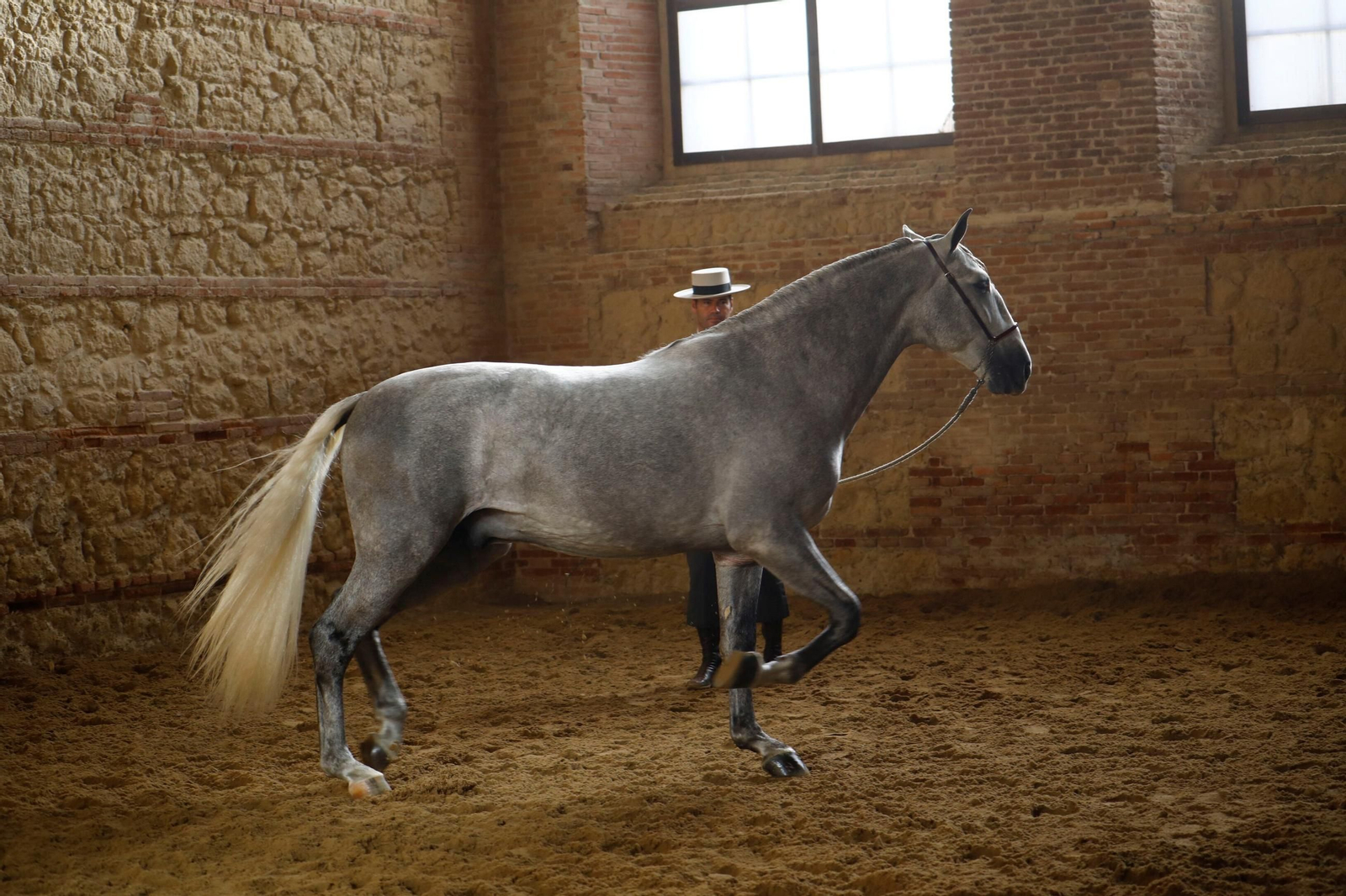 Cabalcor Cabalcor