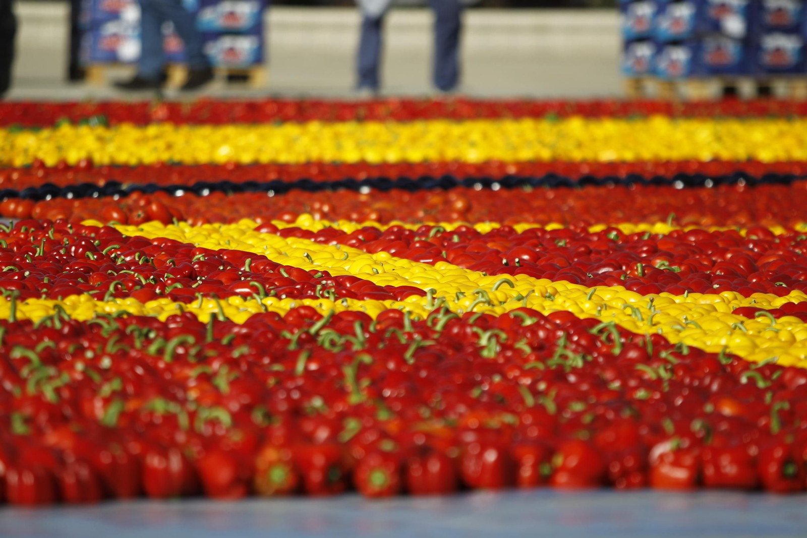 Fotogalería Récord Guinness Corazón Hortalizas Almería