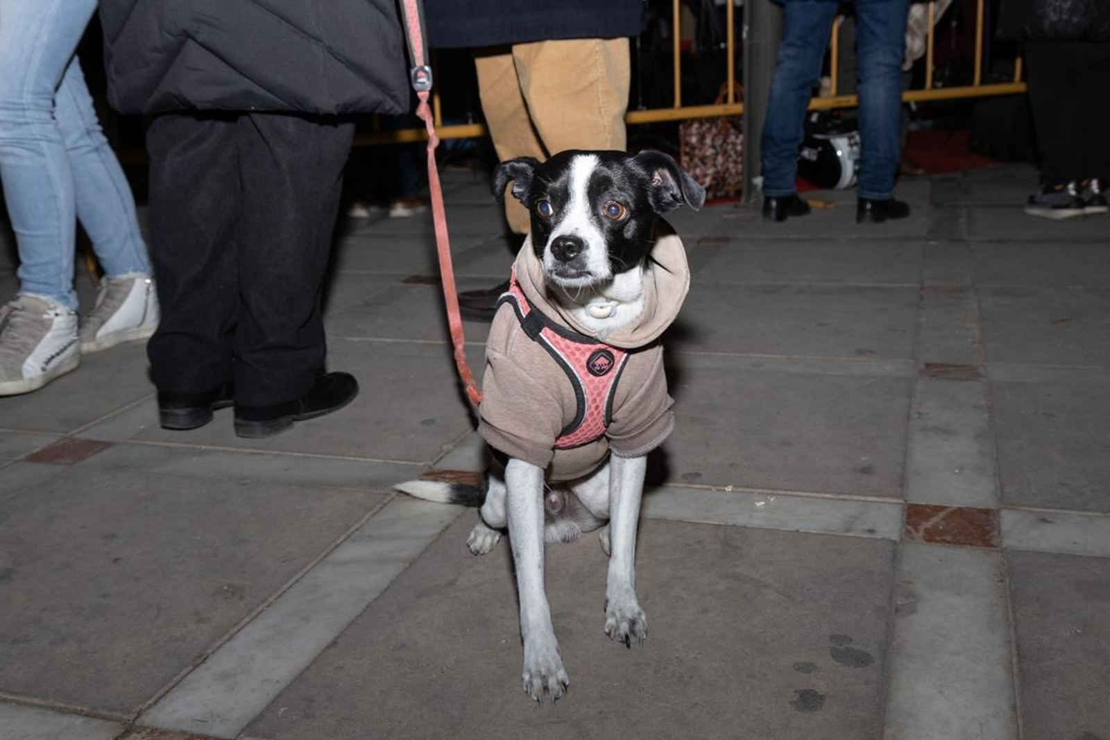 Zambomba de la Hermandad de la Buena Muerte y actuación de Maria Soledad