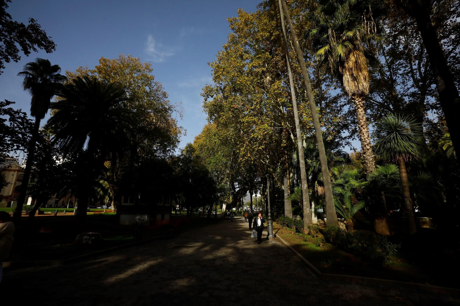 La belleza de los Jardines de la Agricultura de Córdoba, en imágenes