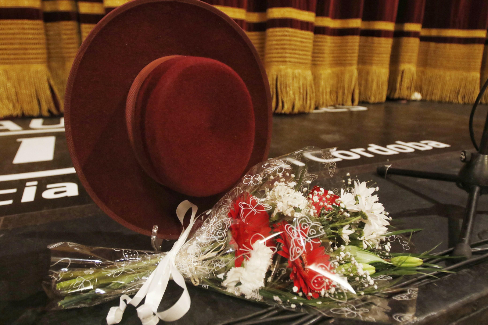 La primera sesión de preliminares del Concurso del Carnaval de Córdoba, en fotos