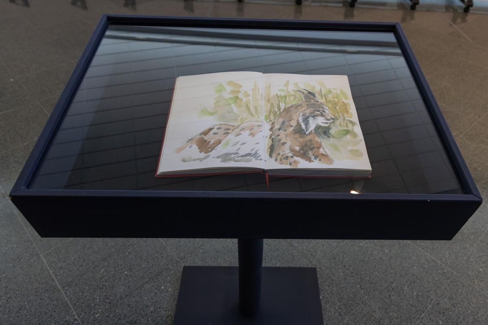 Exposición Los pinceles del lince ibérico, en imágenes