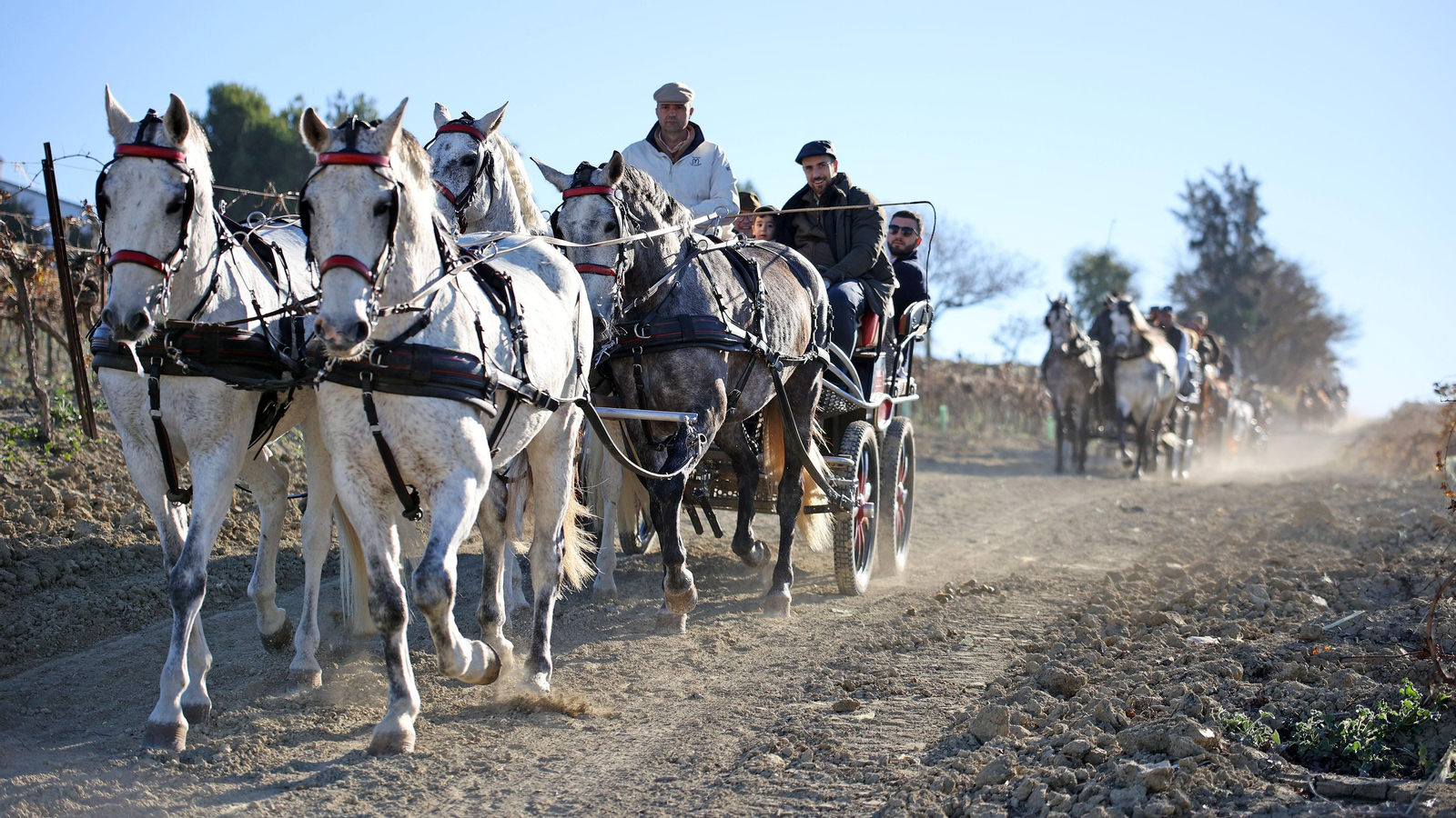 II Ruta Viñas de Jerez