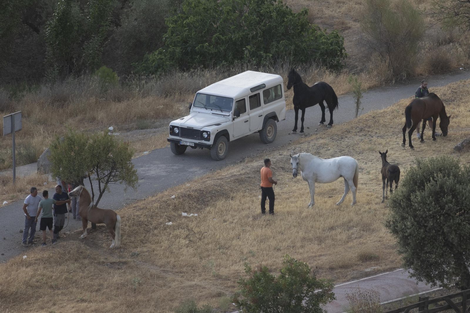 El fuego obliga a desalojar viviendas y se acerca a urbanizaciones de Albolote