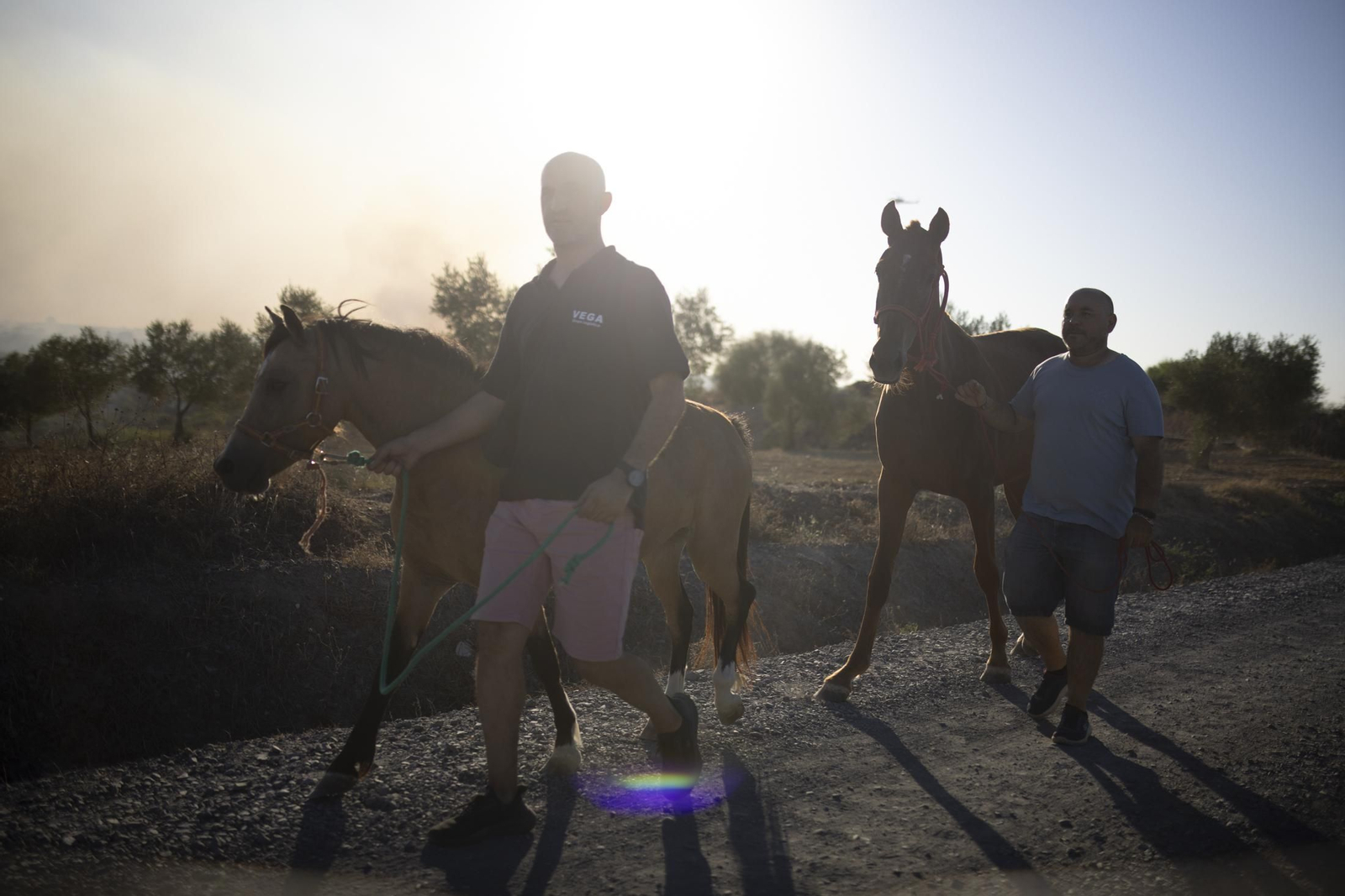 Imágenes del incendio de Bonares