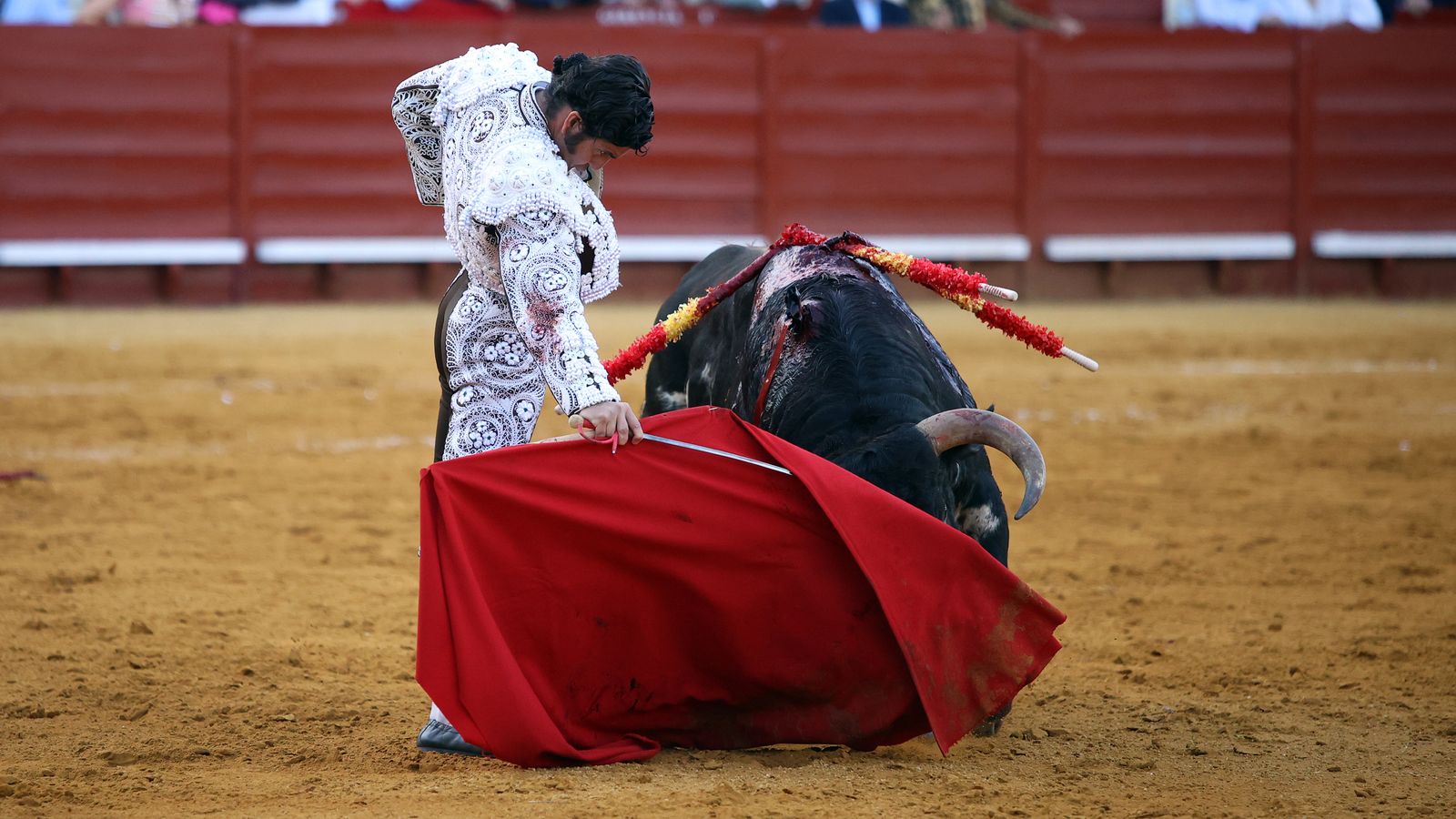 Tercera tarde de toros y última de la Feria de Jerez con Morante, Juan Ortega y Roca Rey