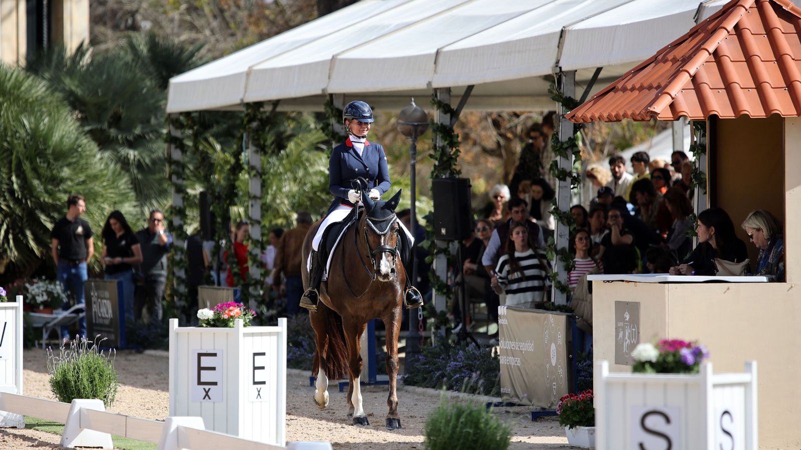 El Concurso Internacional en la Real Escuela Ecuestre, en imágenes
