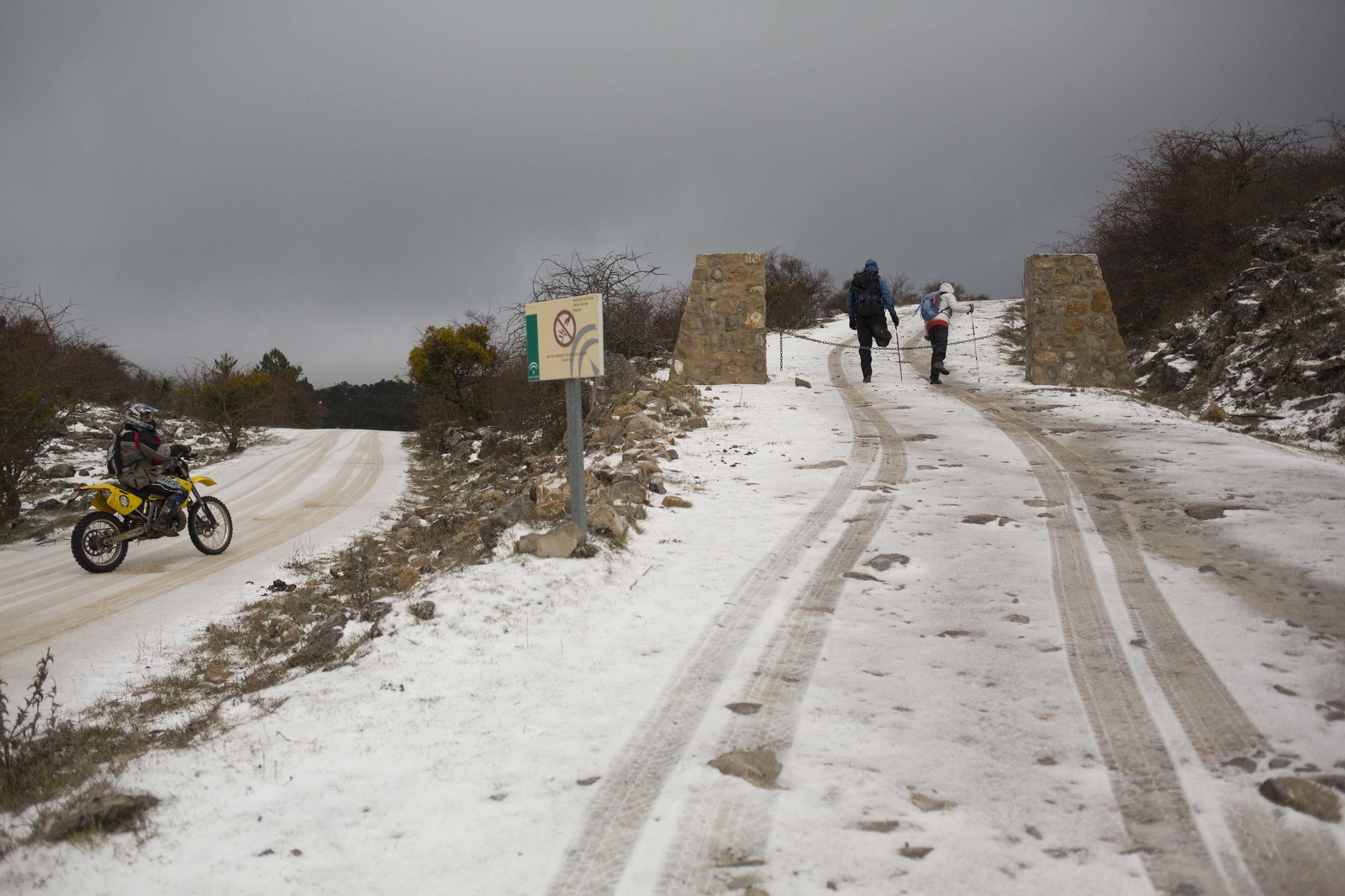Las imágenes de la primera nevada del invierno en la Sierra de las Nieves