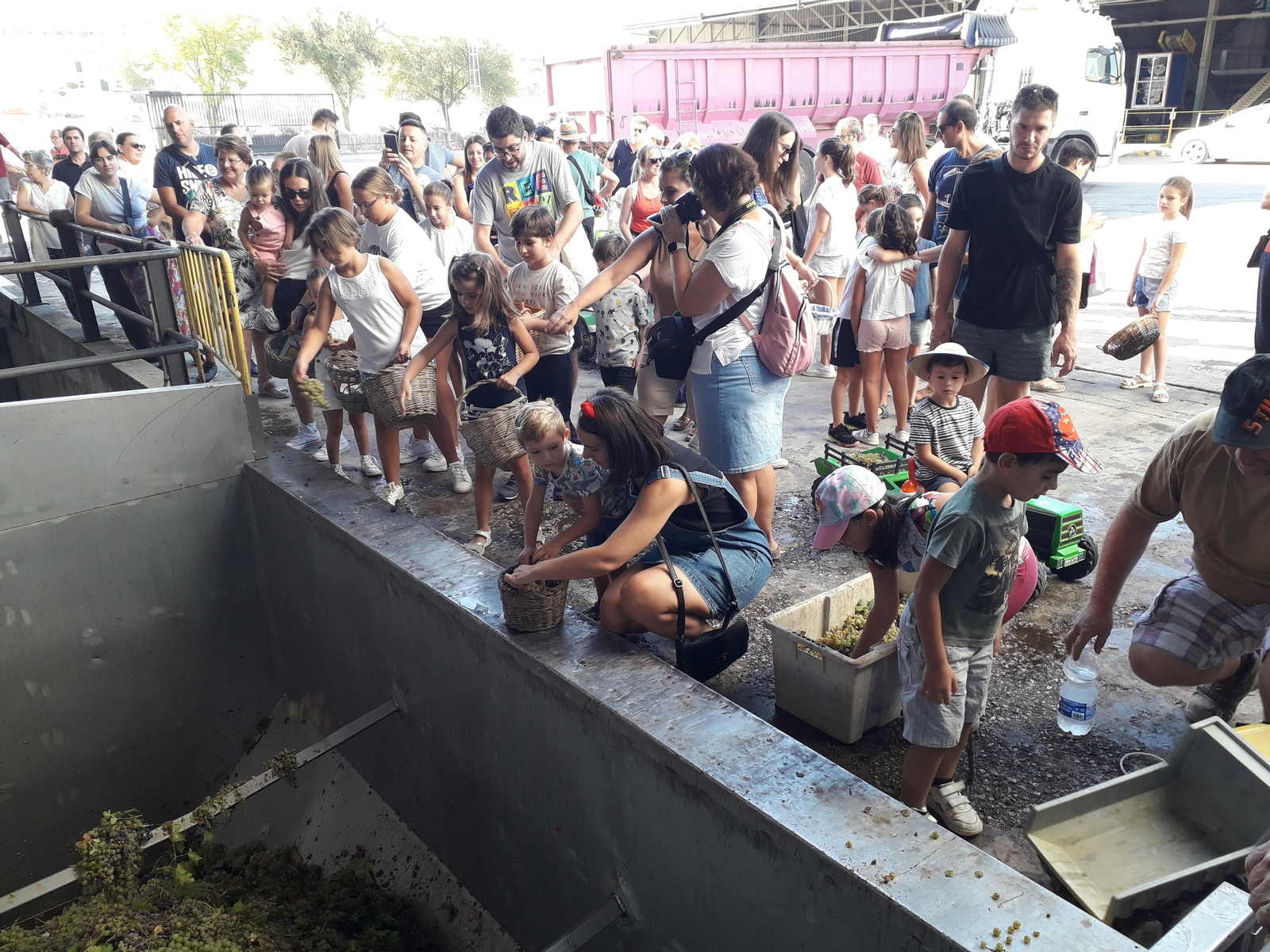 La primera vendimia infantil de Montilla, en imágenes