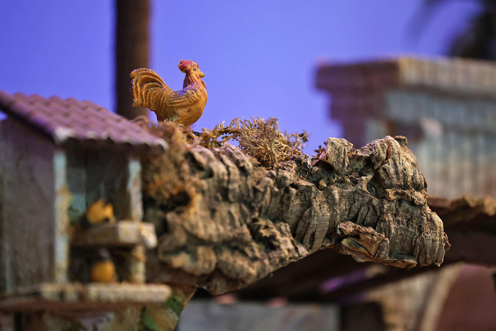 Imágenes del Nacimiento de la Hermandad del Nazareno