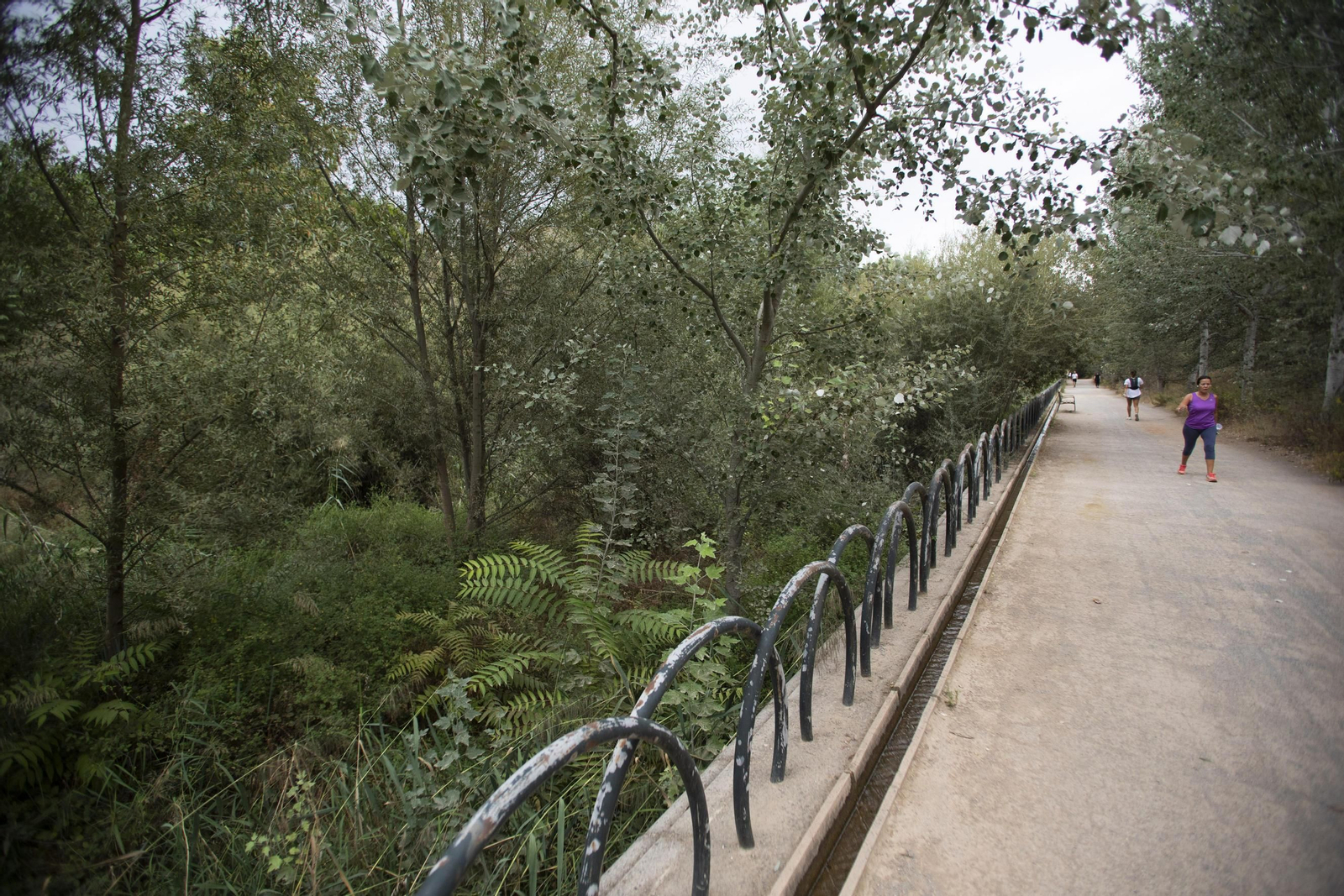 Ruta del Colesterol en Granada: cauces de los ríos Genil y Monachil