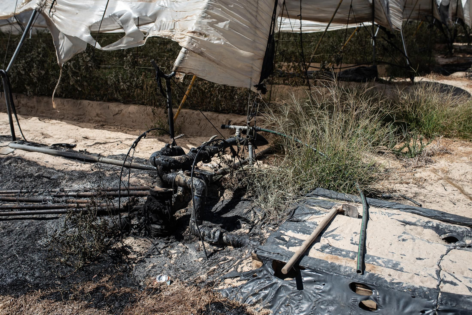 El rastro del incendio de Almonte en imágenes