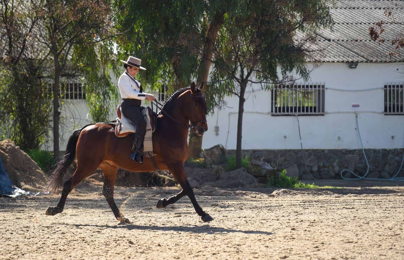 Las mejores imágenes de la Marcha Hípica Córdoba a Caballo del 28F de 2026