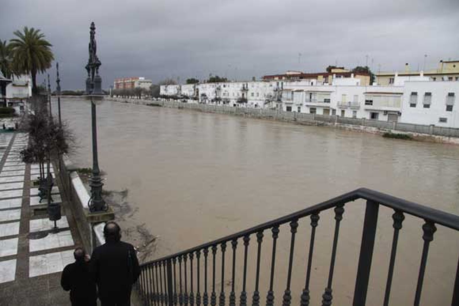 Chiclana se lleva la peor parte de las intensas lluvias que afectan a la provincia, provocando cortes de carreteras, desalojos de casas y crecidas de los ríos

Foto: Sonia Ramos/A.Mora/Rioja