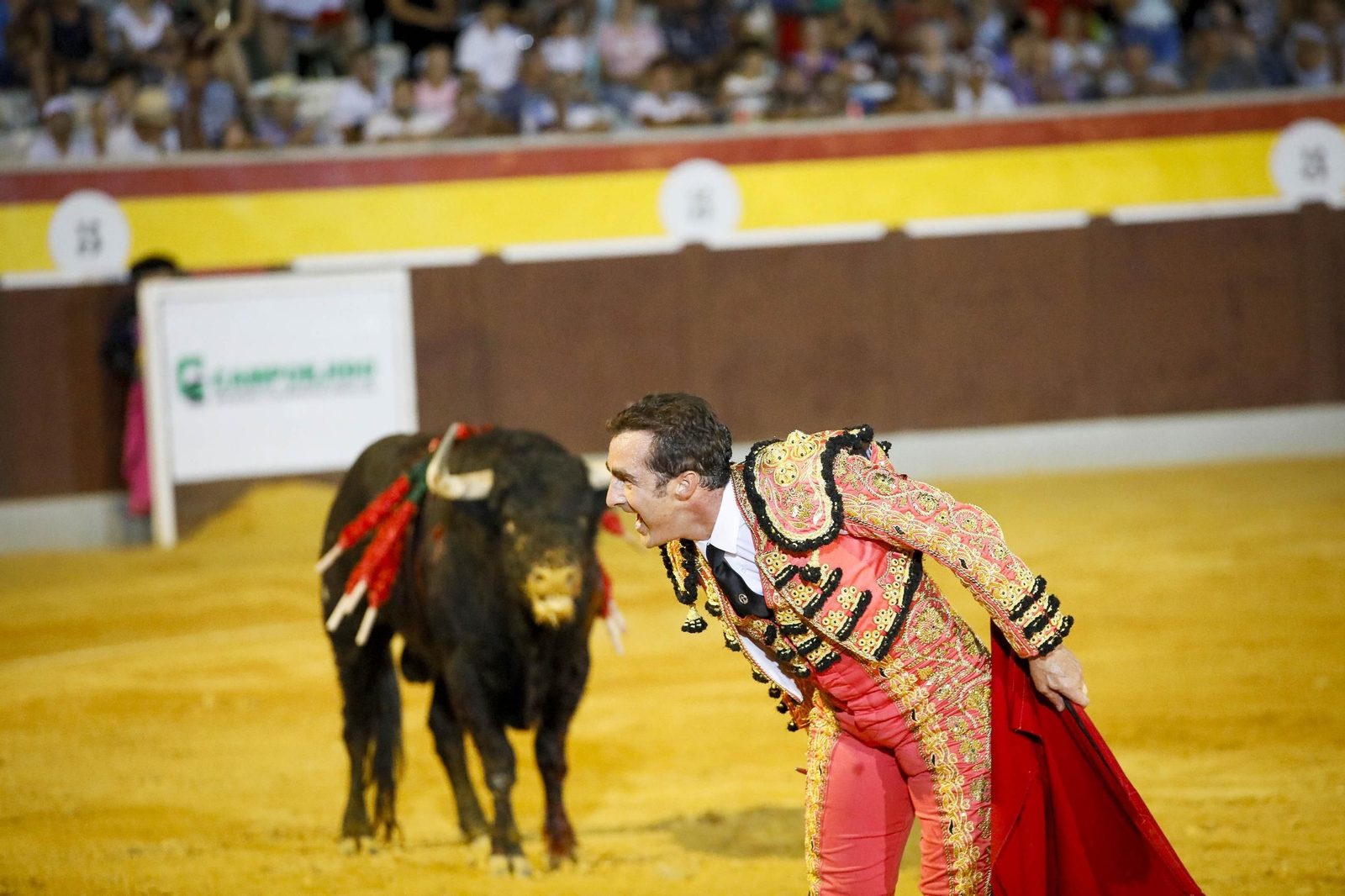 Corrida de toros Berja con un toro indultado, en imágenes