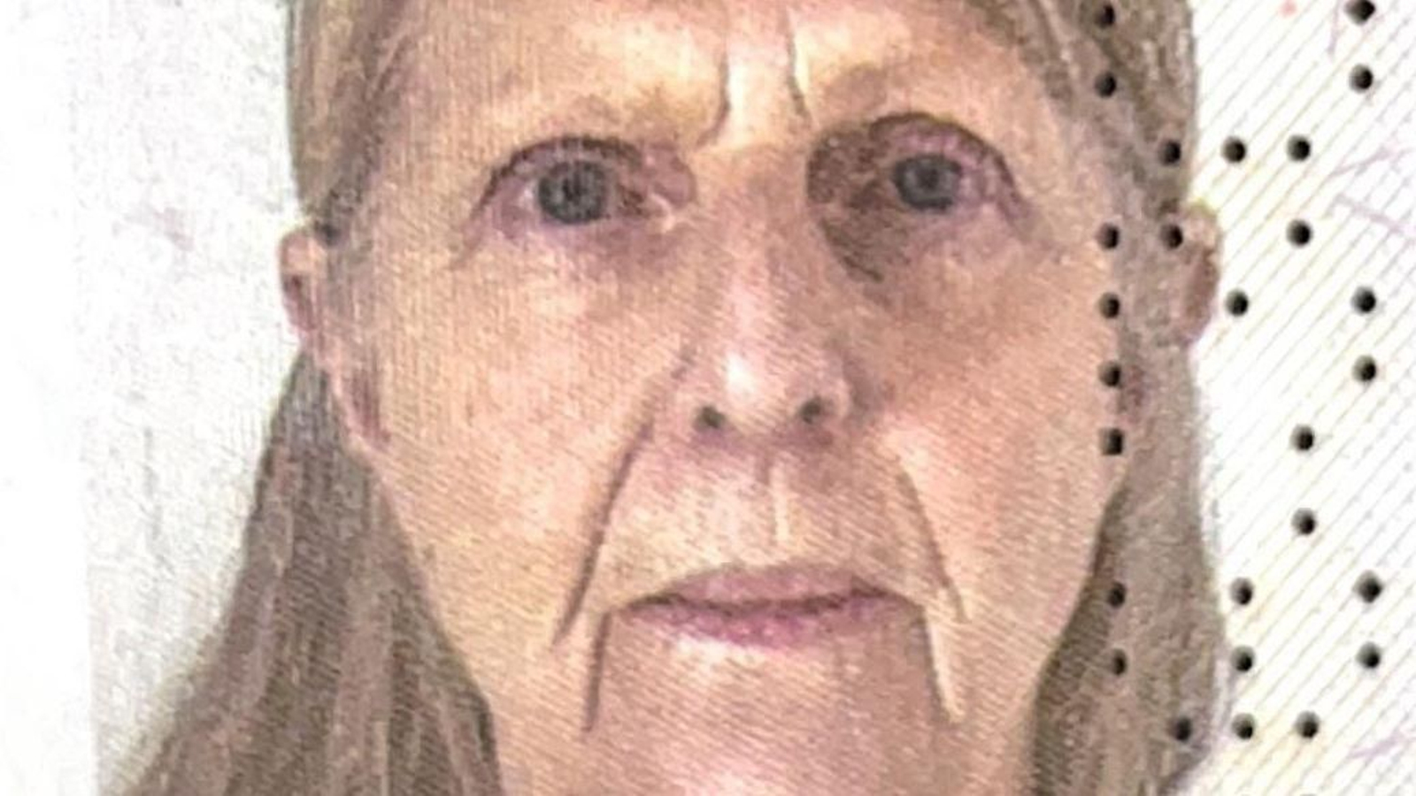 Imagen de la mujer desaparecida.