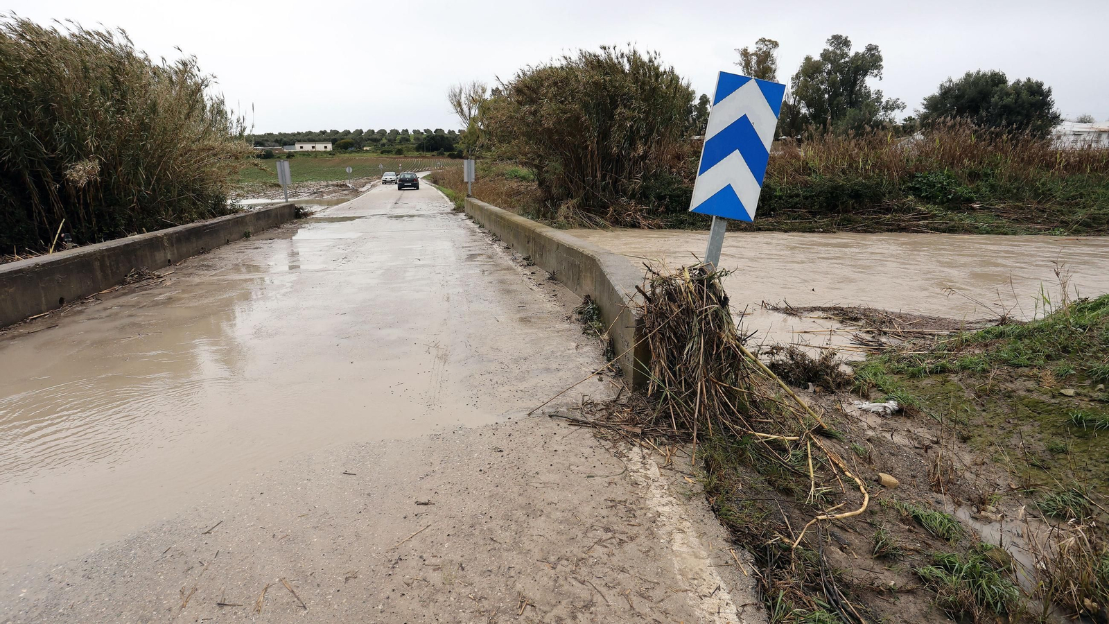 Imágenes del temporal de viento y lluvia en Jerez