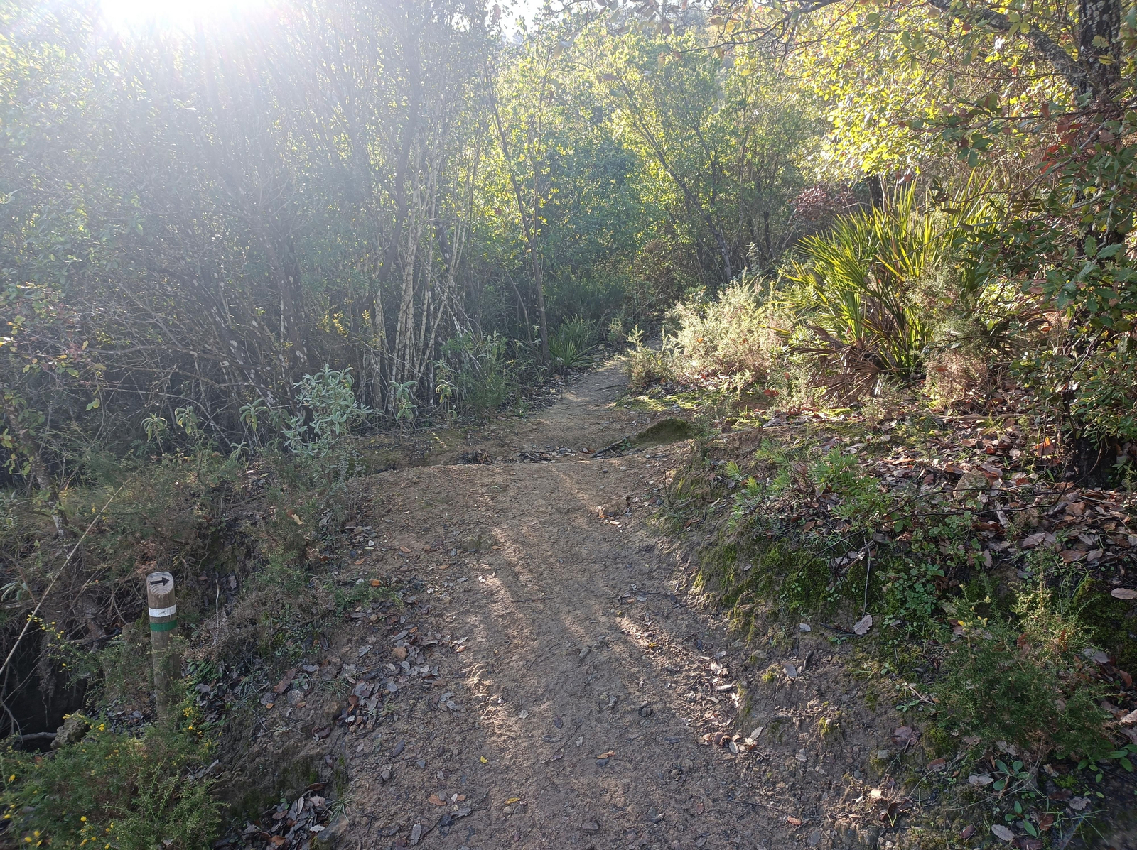 Fotos de la ruta circular de San Pedro, en Coripe