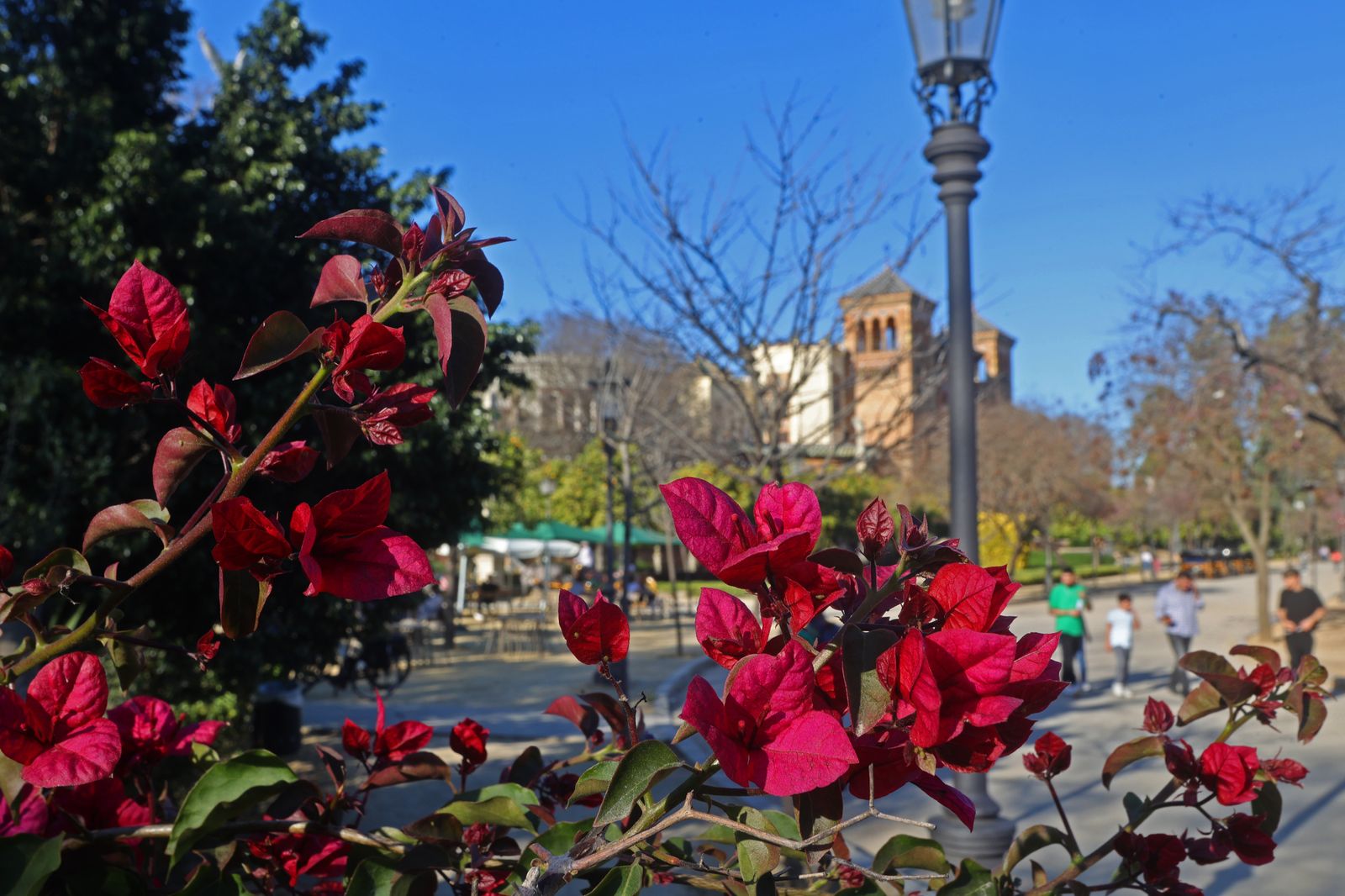 Comienzo de la primavera en Sevilla