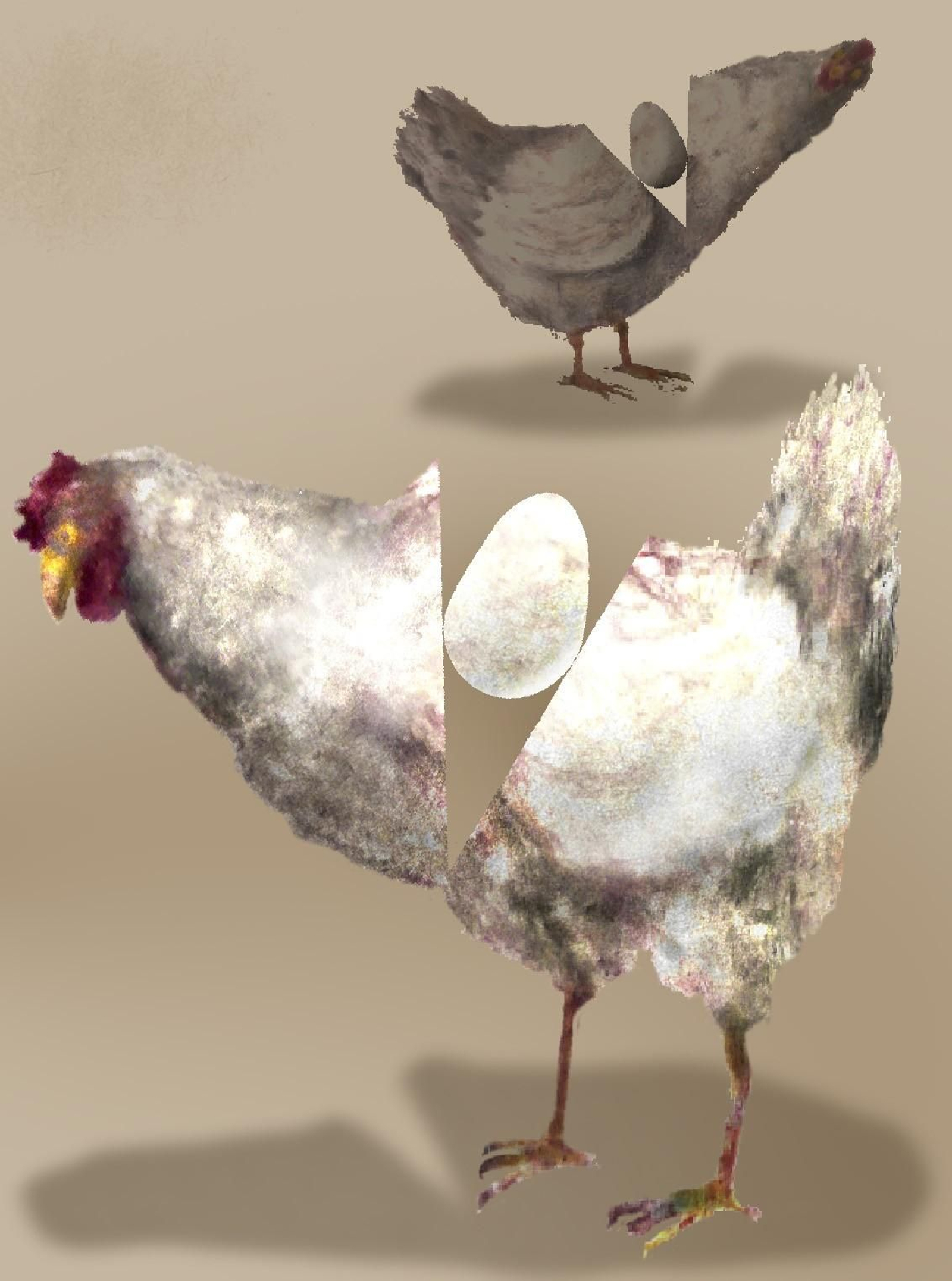 La gripe aviar y el consumo de huevos