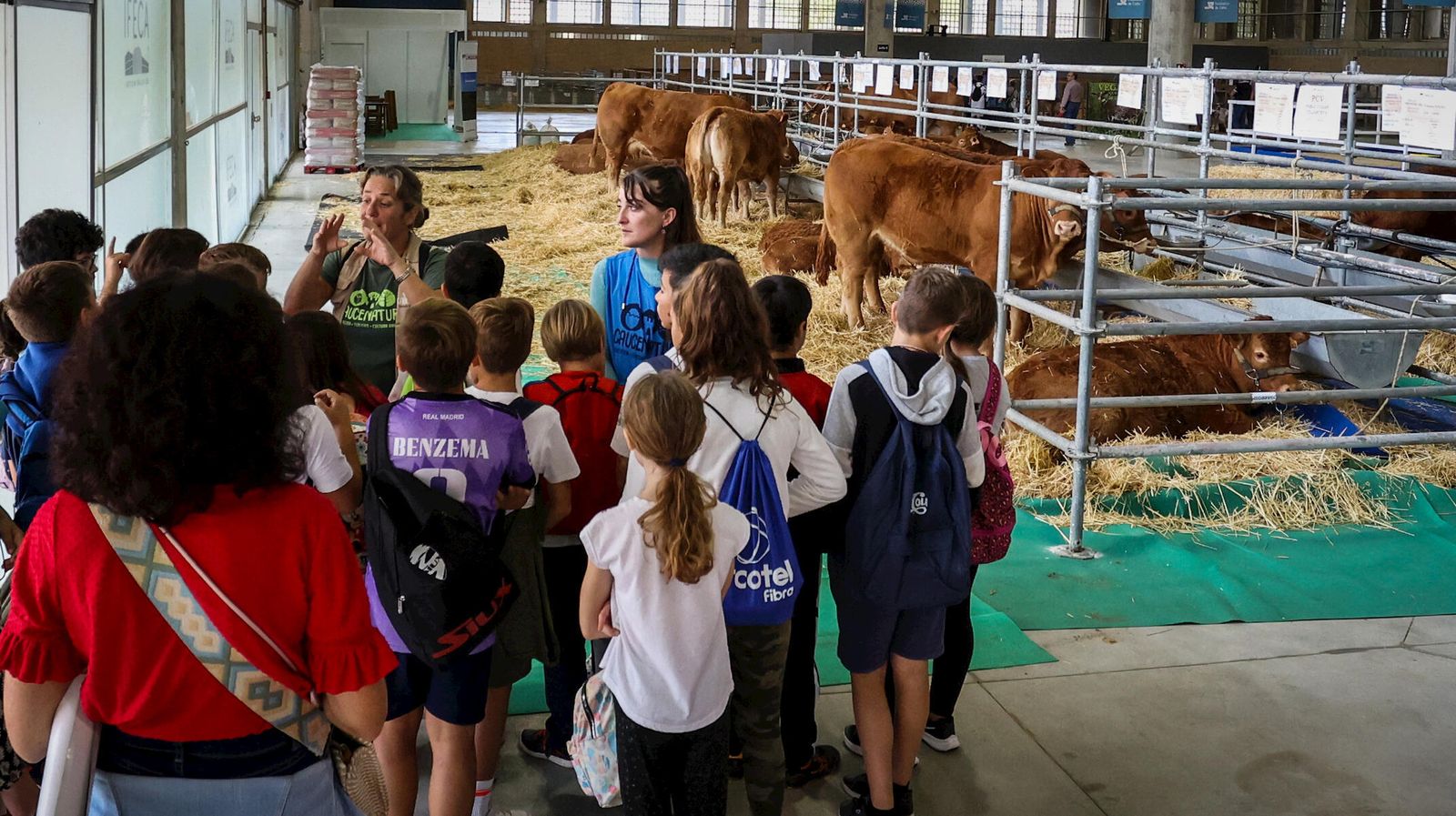 Escolares junto a ejemplares de raza retinta en la jornada de apertura este viernes de Fegasur en Ifeca Jerez.
