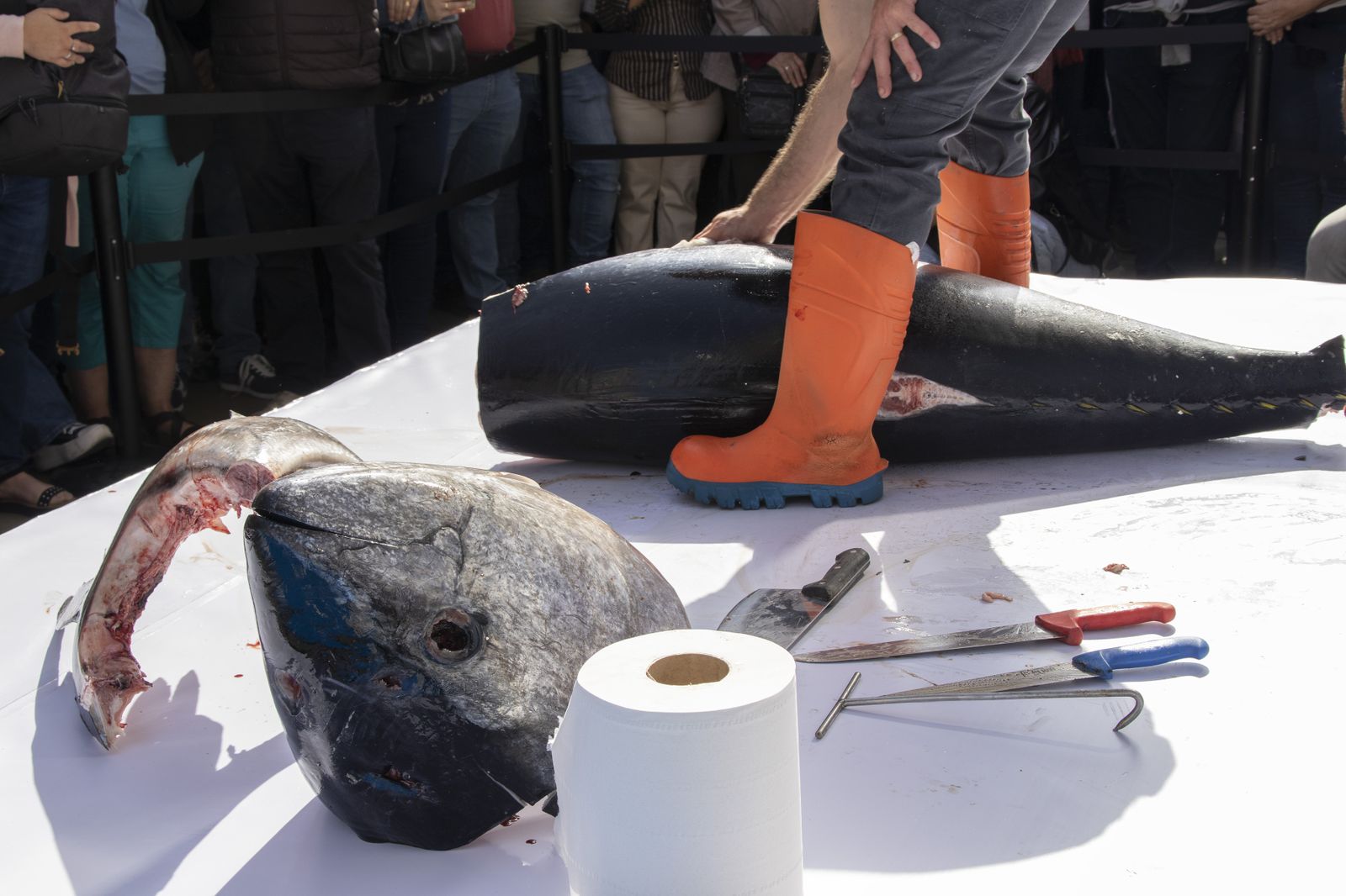 Muestra del Atún en Huelva