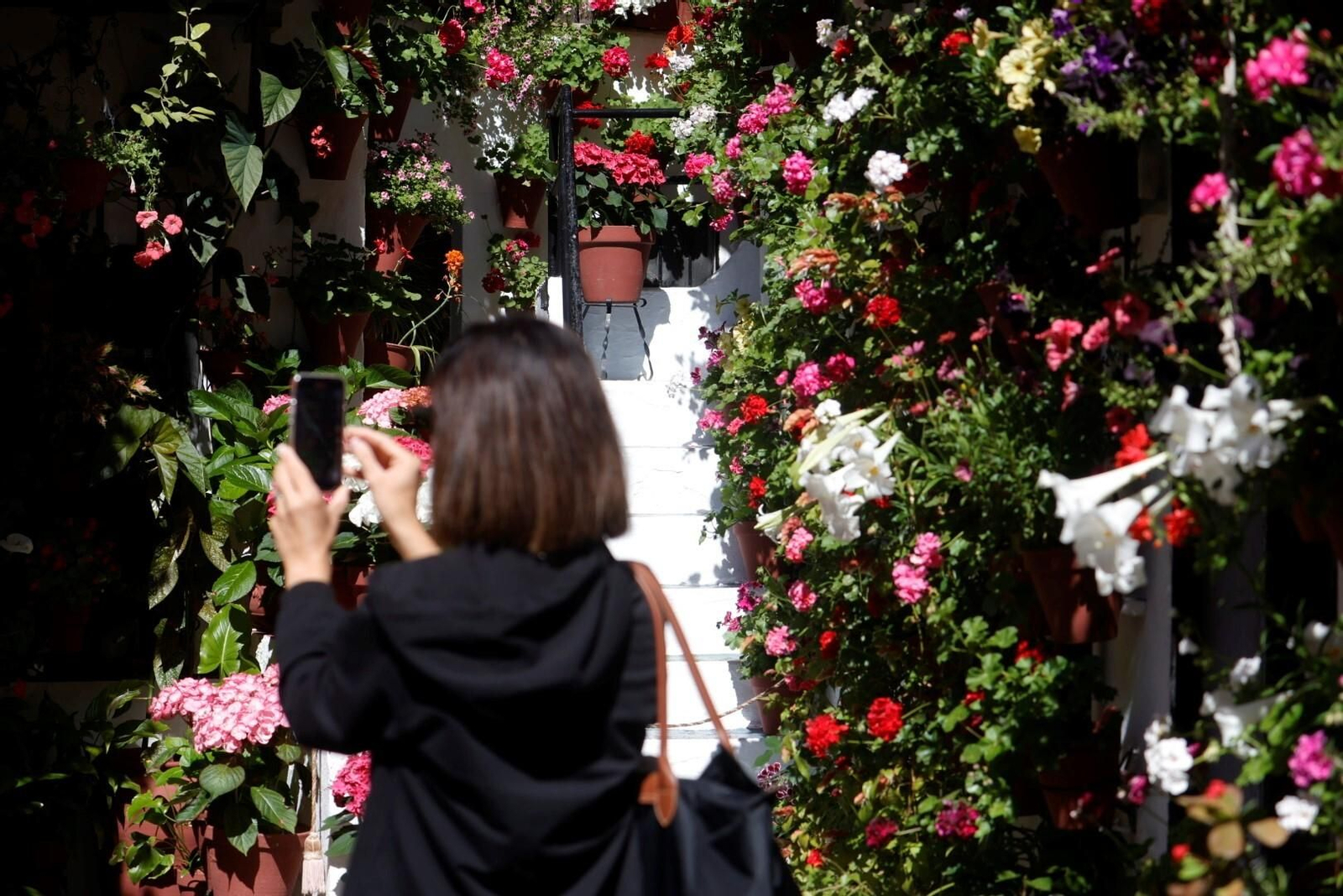 Las mejores imágenes del primer día de Patios en Córdoba