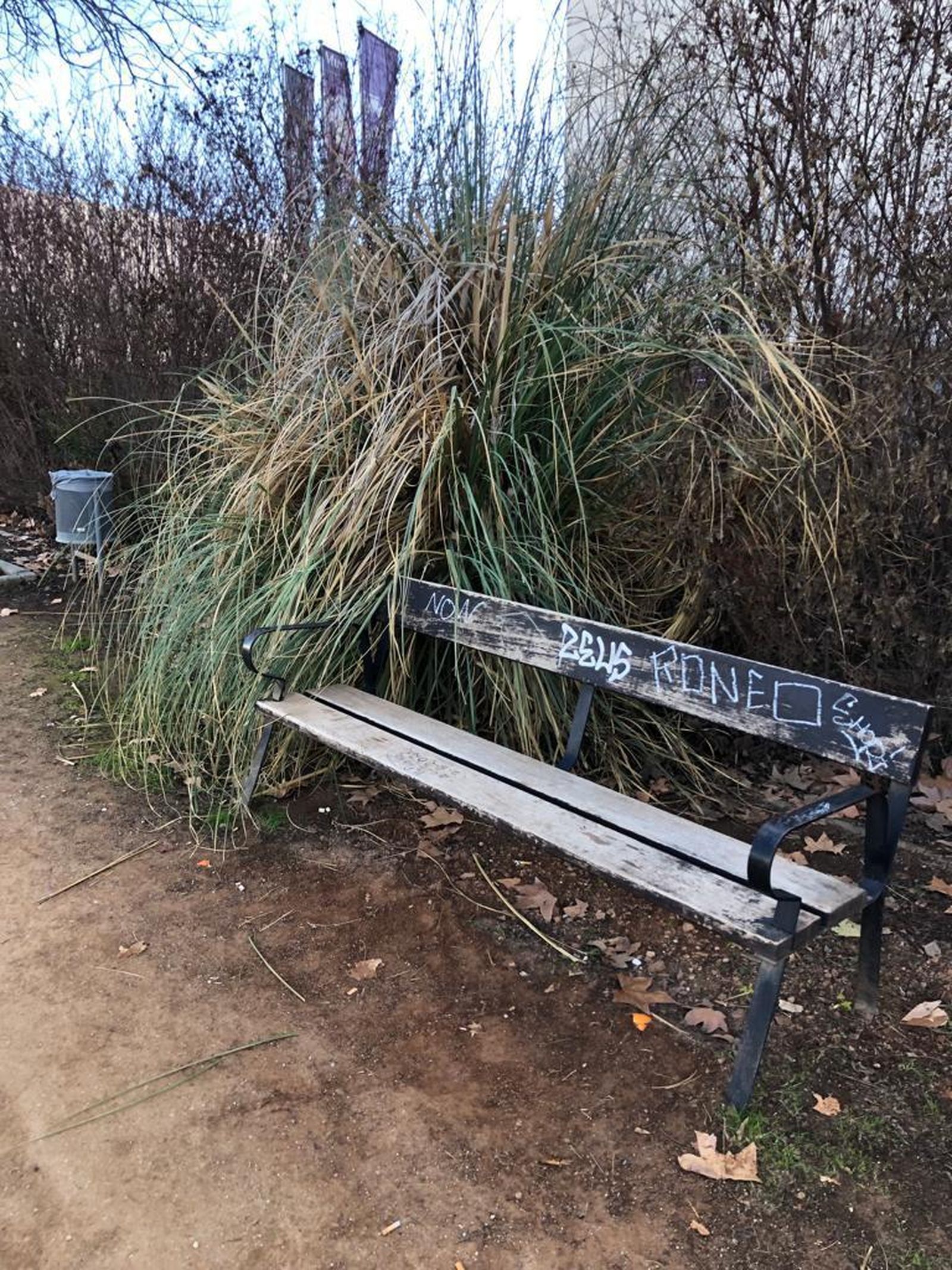 Imagen facilitada por el PP del estado de un parque.