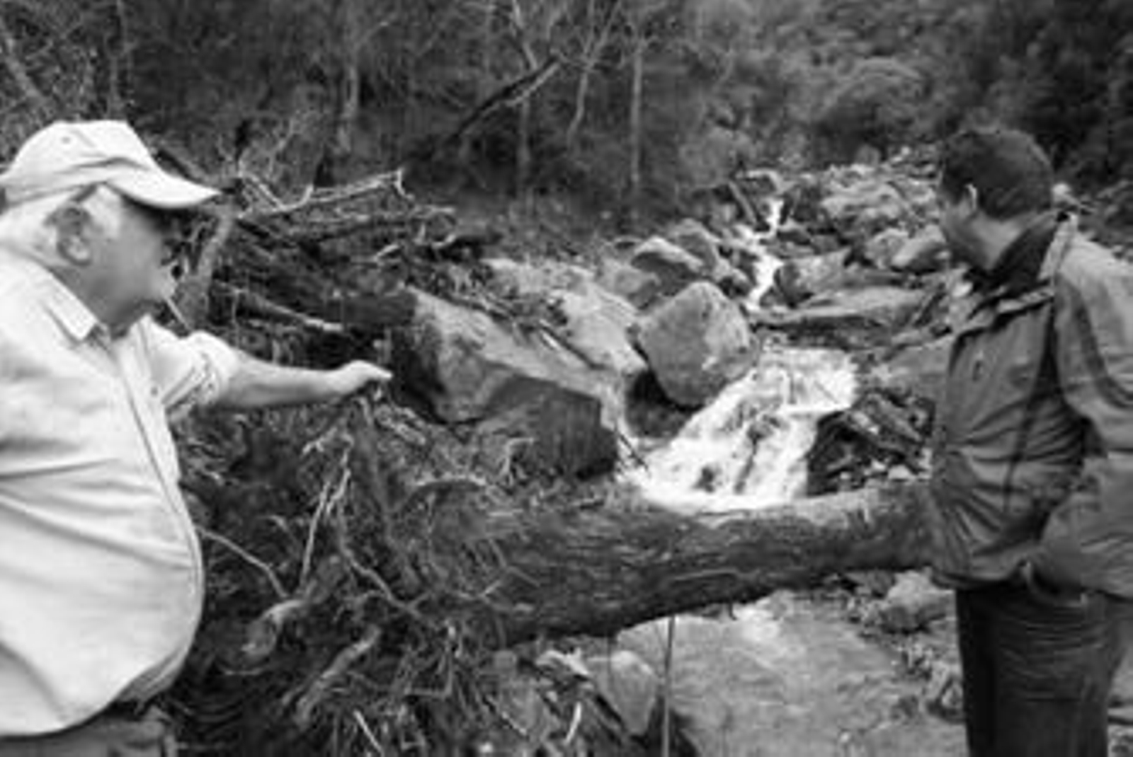 Dos vecinos de la zona observan un árbol y las piedras caídas en la trayectoria de un arroyo.