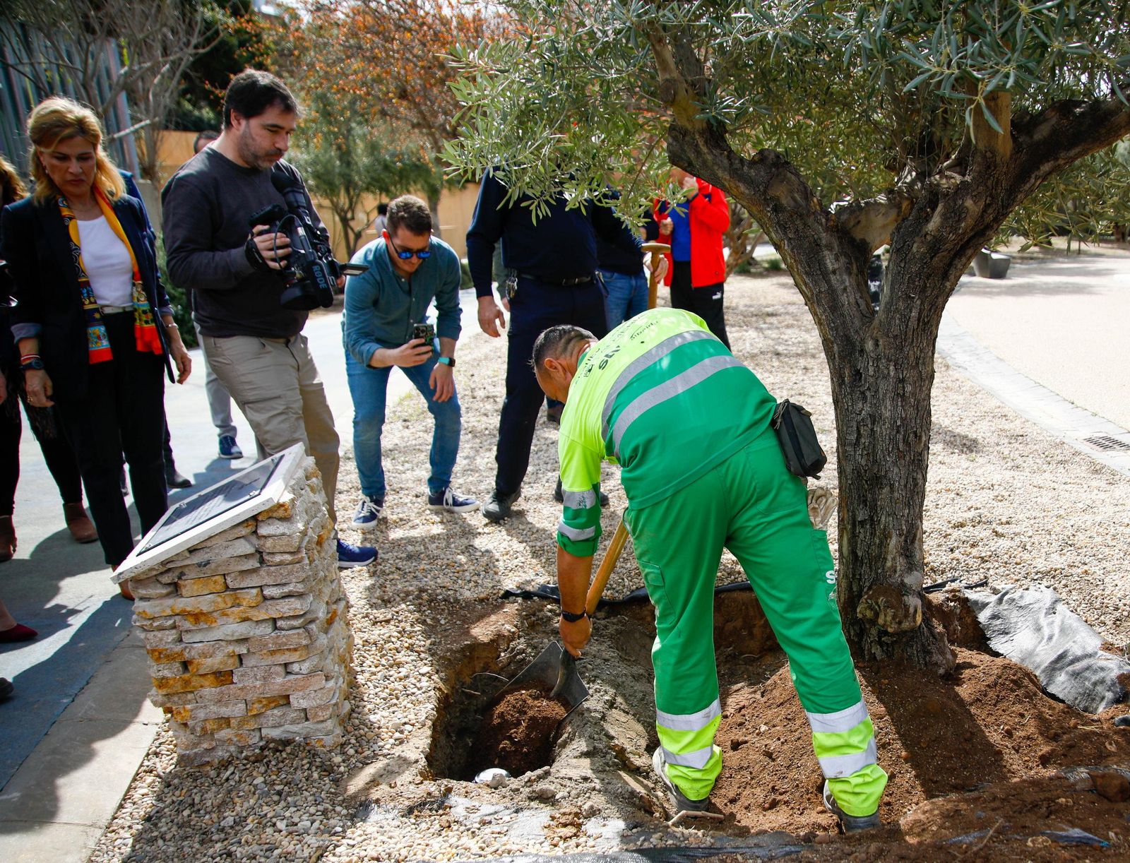 Las imágenes de la plantación de un olivo y el entierro de una cápsula del tiempo