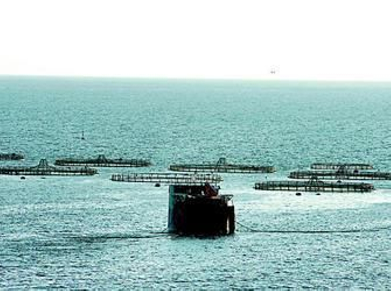 Plataforma de alimentación automática de la Piscifactoría Aguadulce, Piagua.