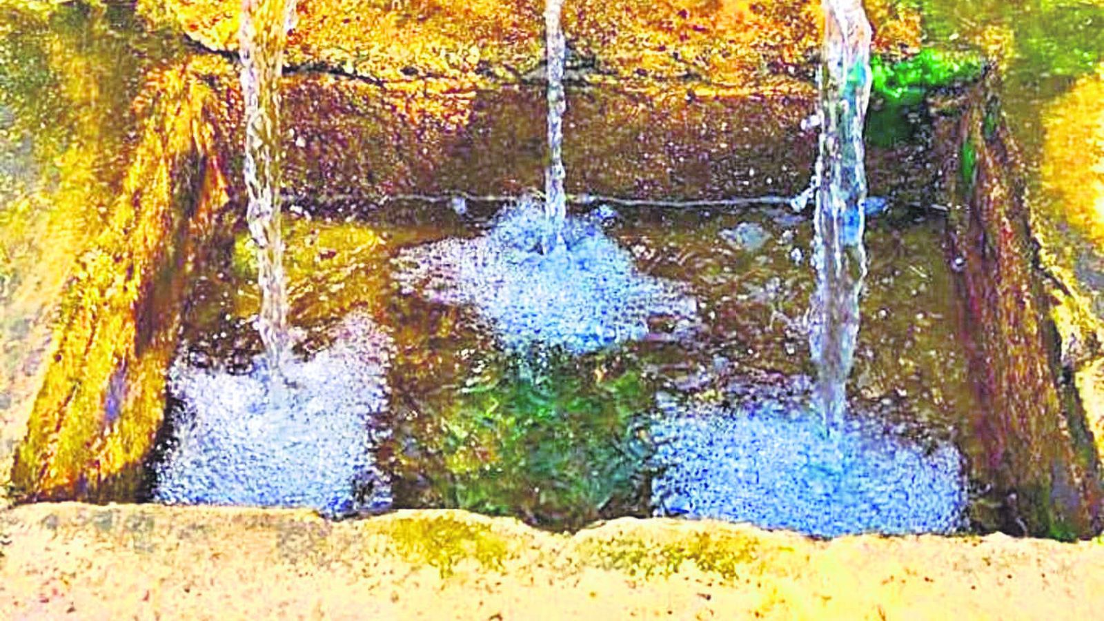 Junto a su patrimonio histórico destaca el entorno que rodea a El Garrobo con sus dehesas.