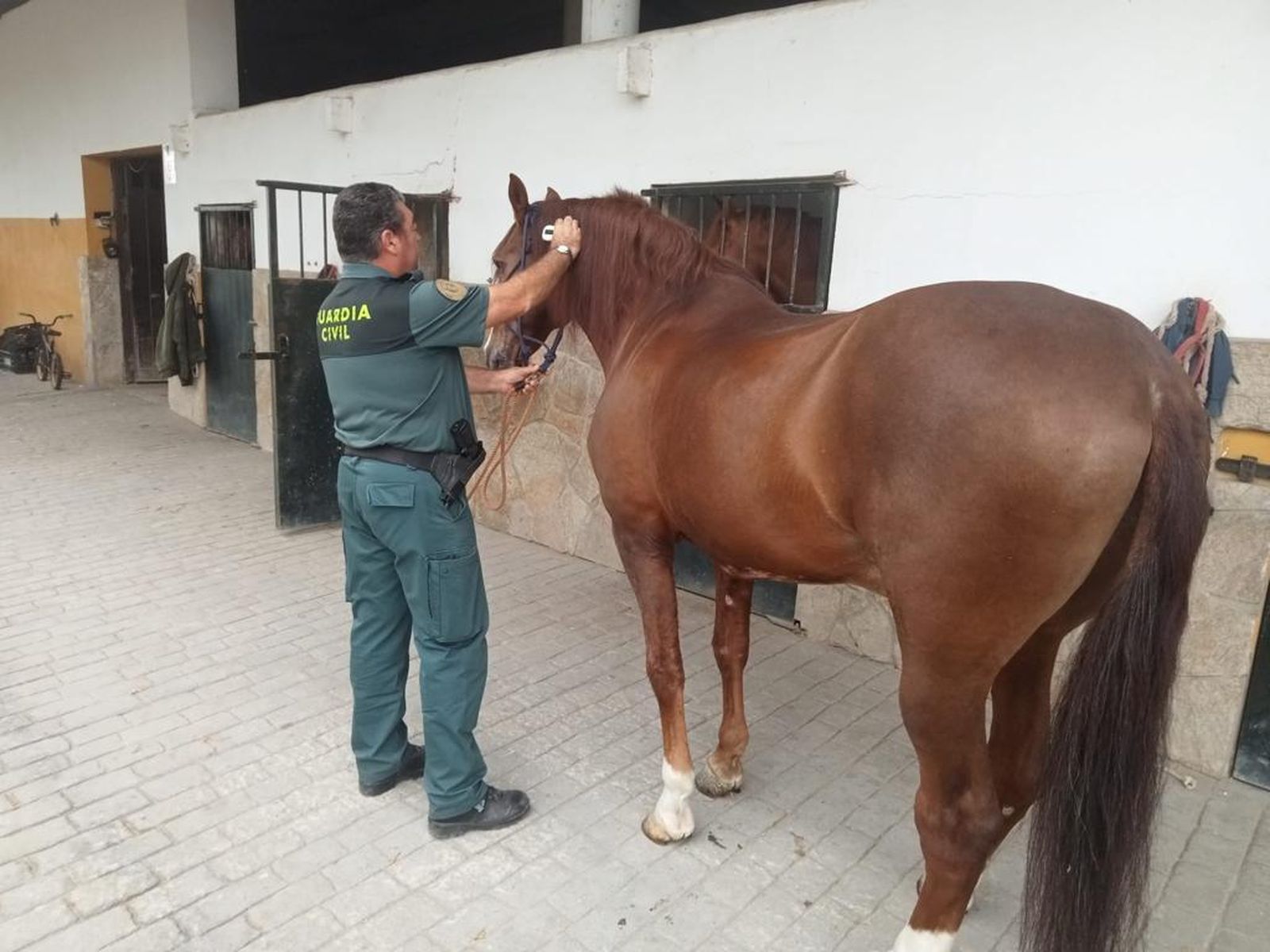 Un agente de la Guardia Civil, junto a un caballo.